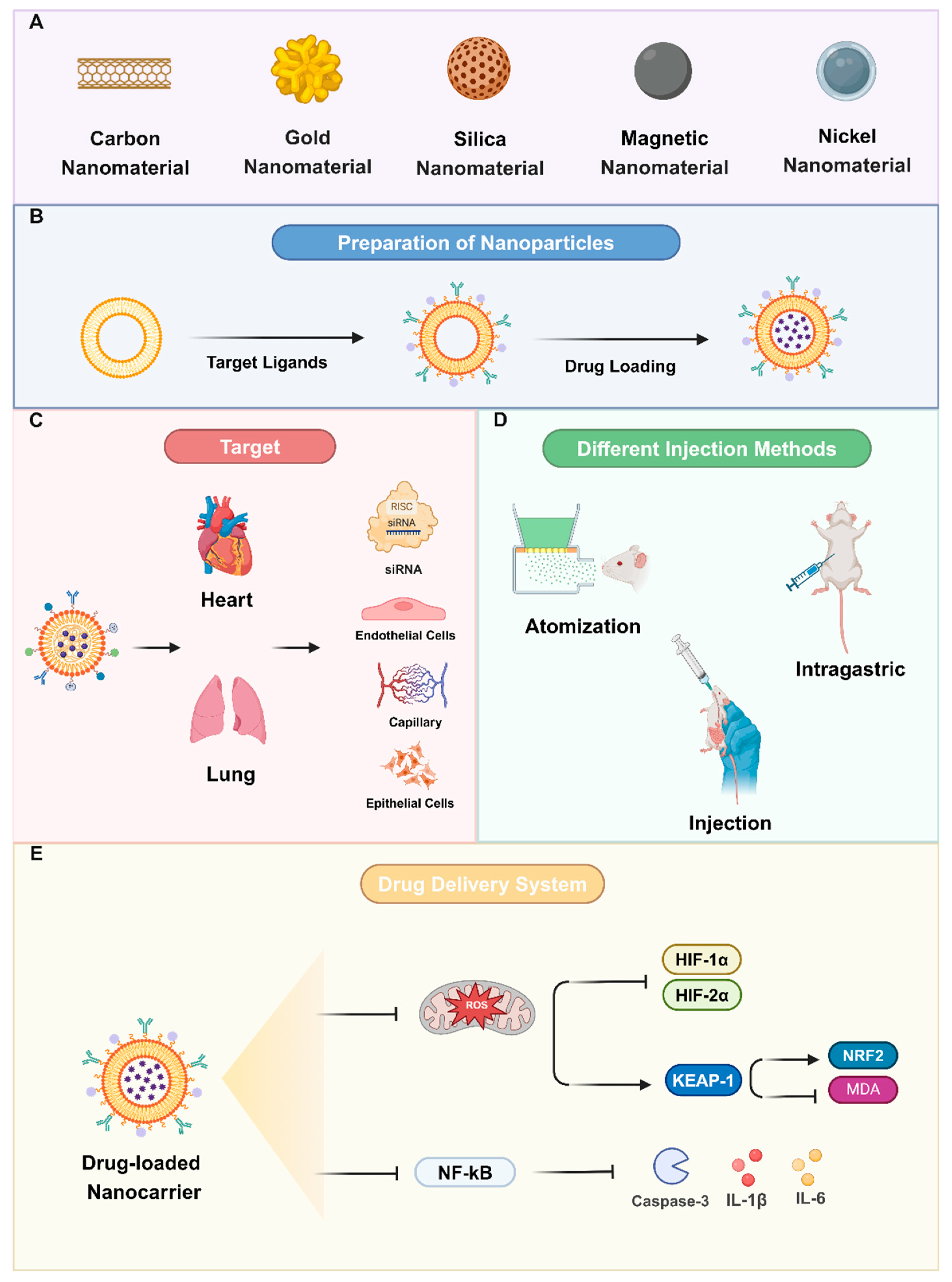 Preprints 119908 g002