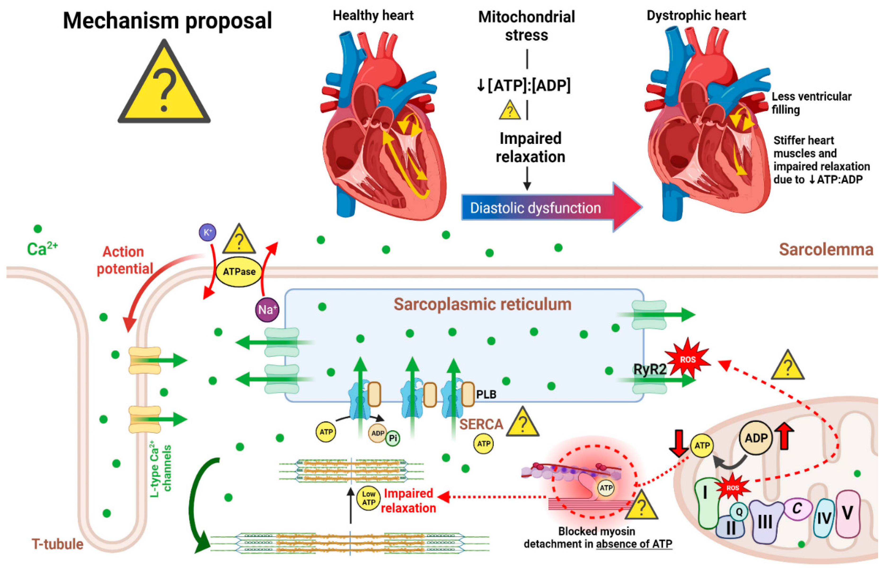 Preprints 97745 g001