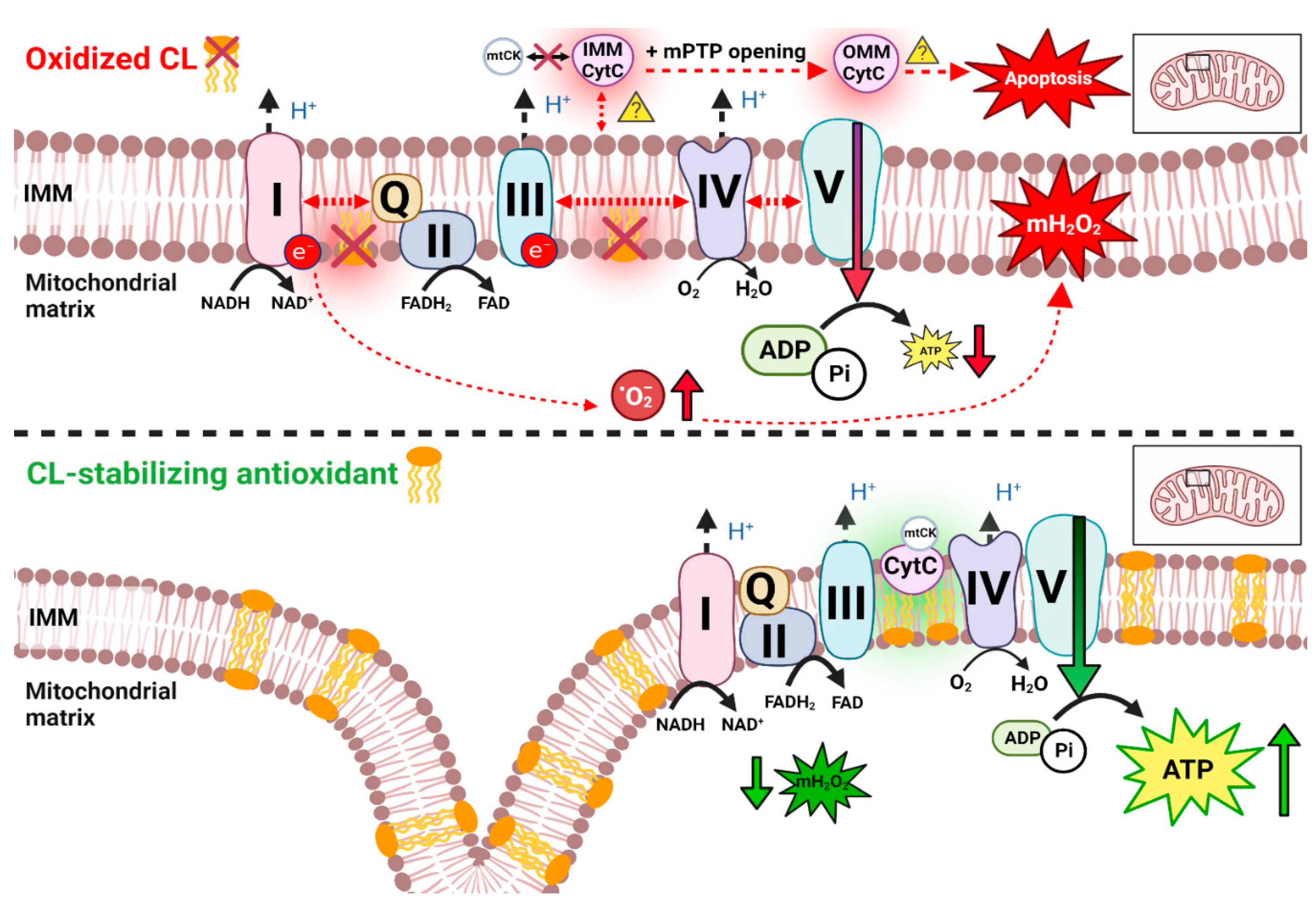 Preprints 97745 g003