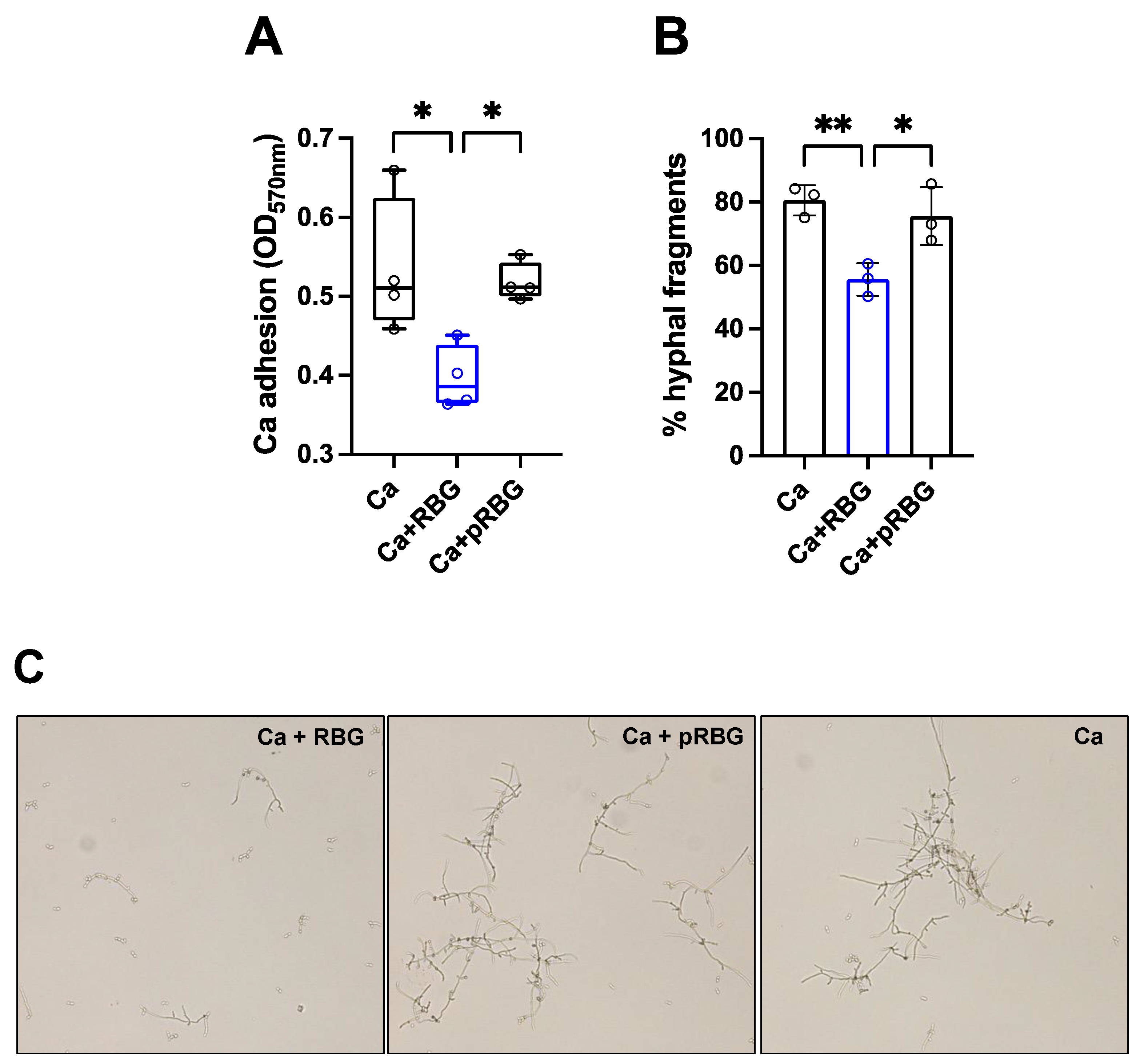 Preprints 72575 g004