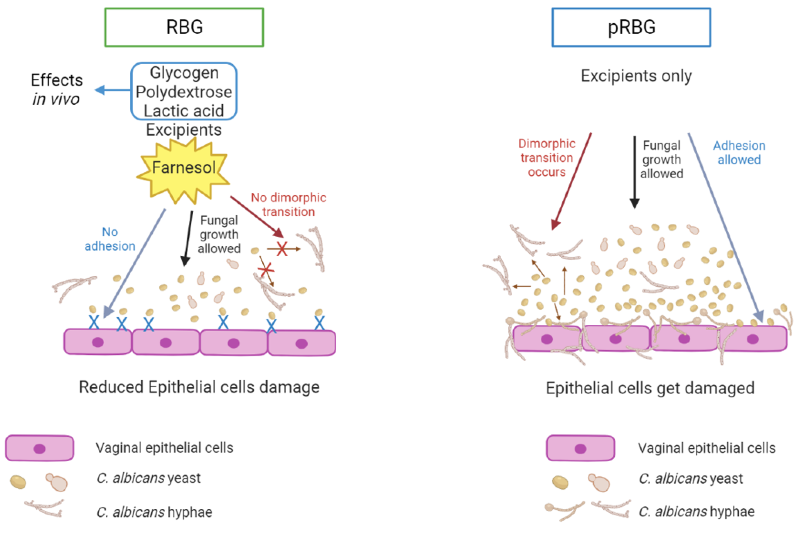 Preprints 72575 g006