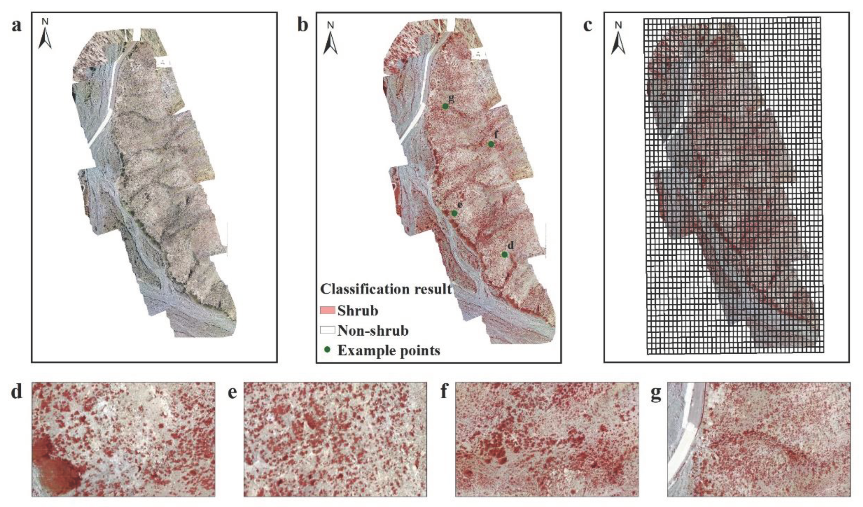 Preprints 100443 g003