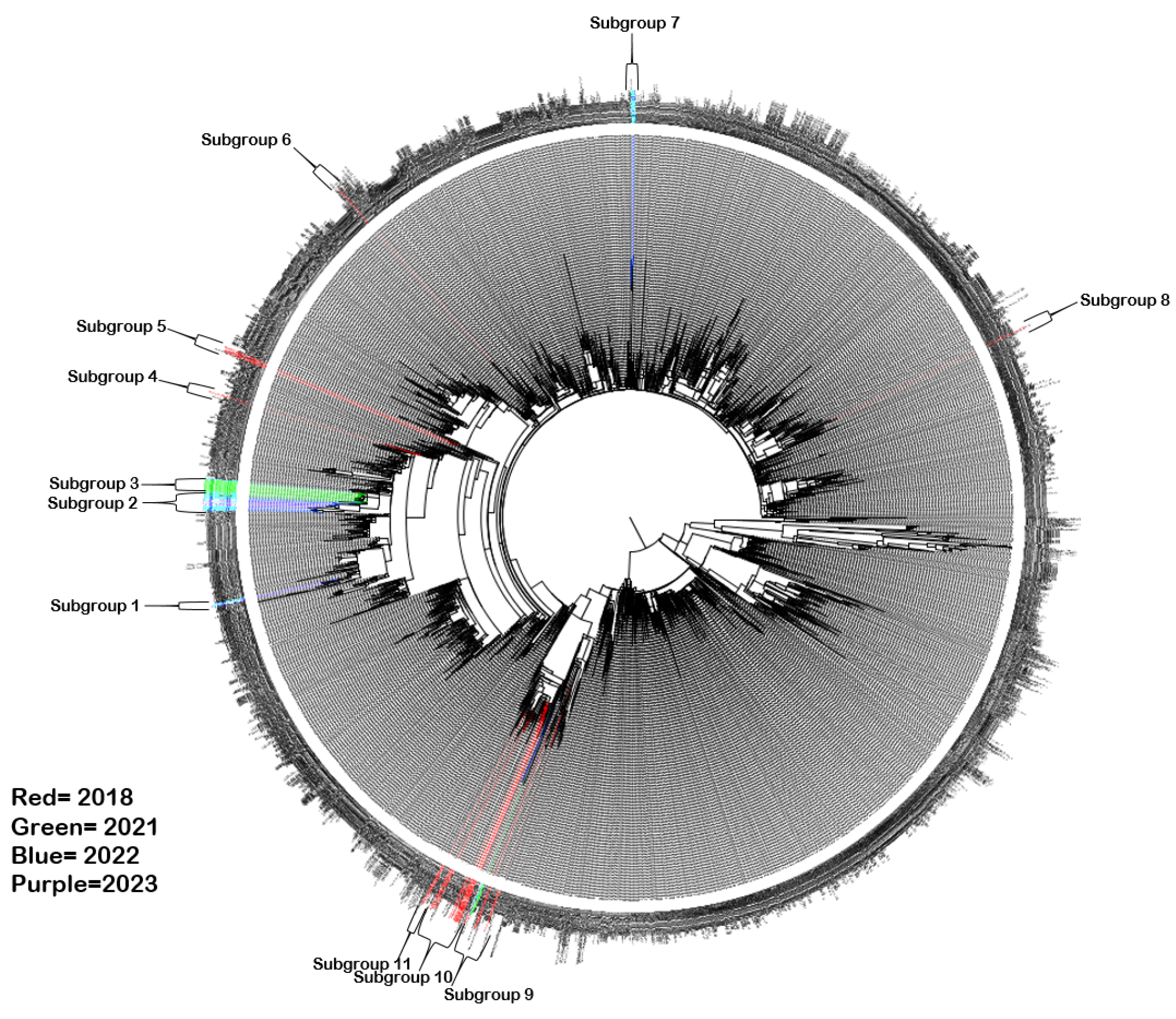 Preprints 137997 g002