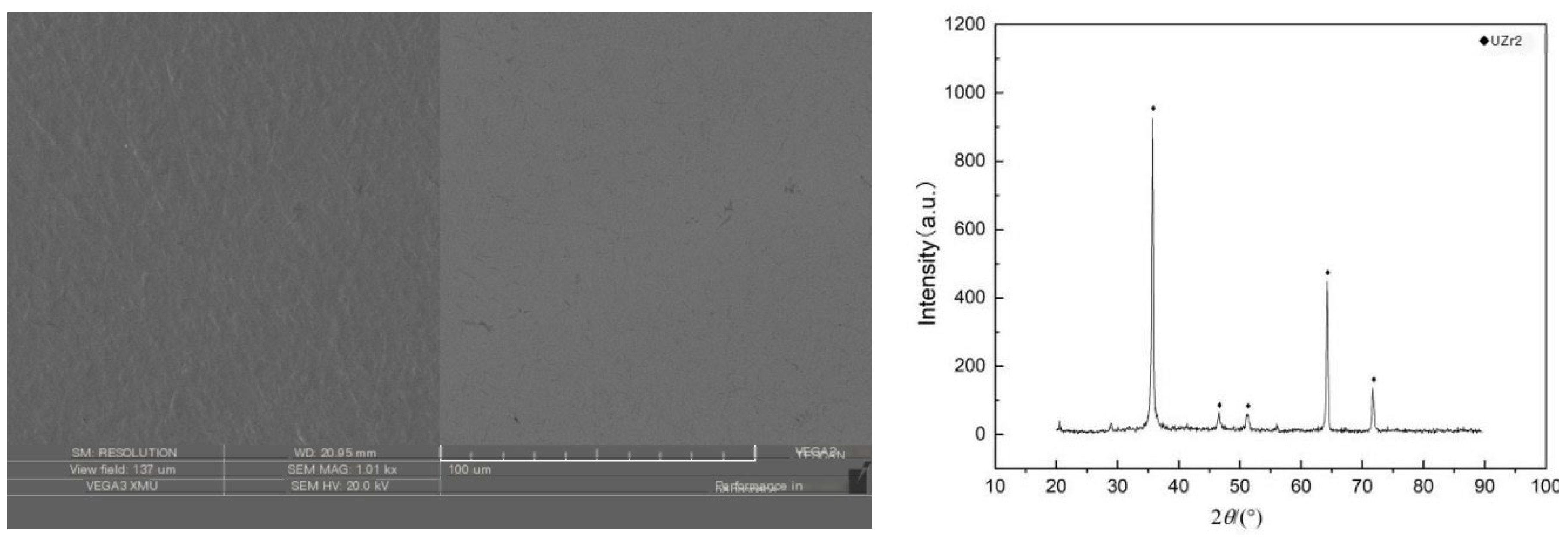 Preprints 119217 g004