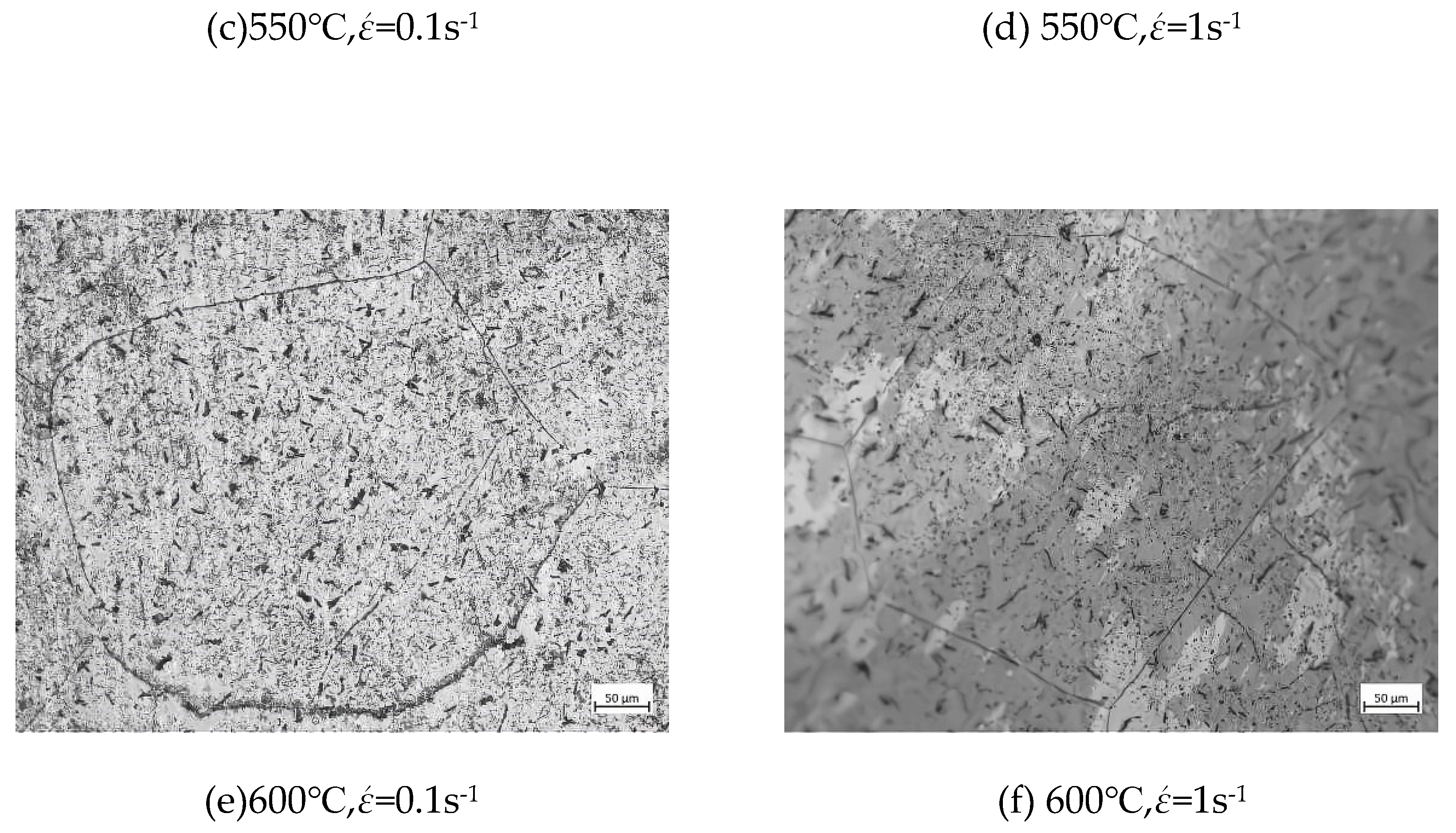 Preprints 119217 g008b