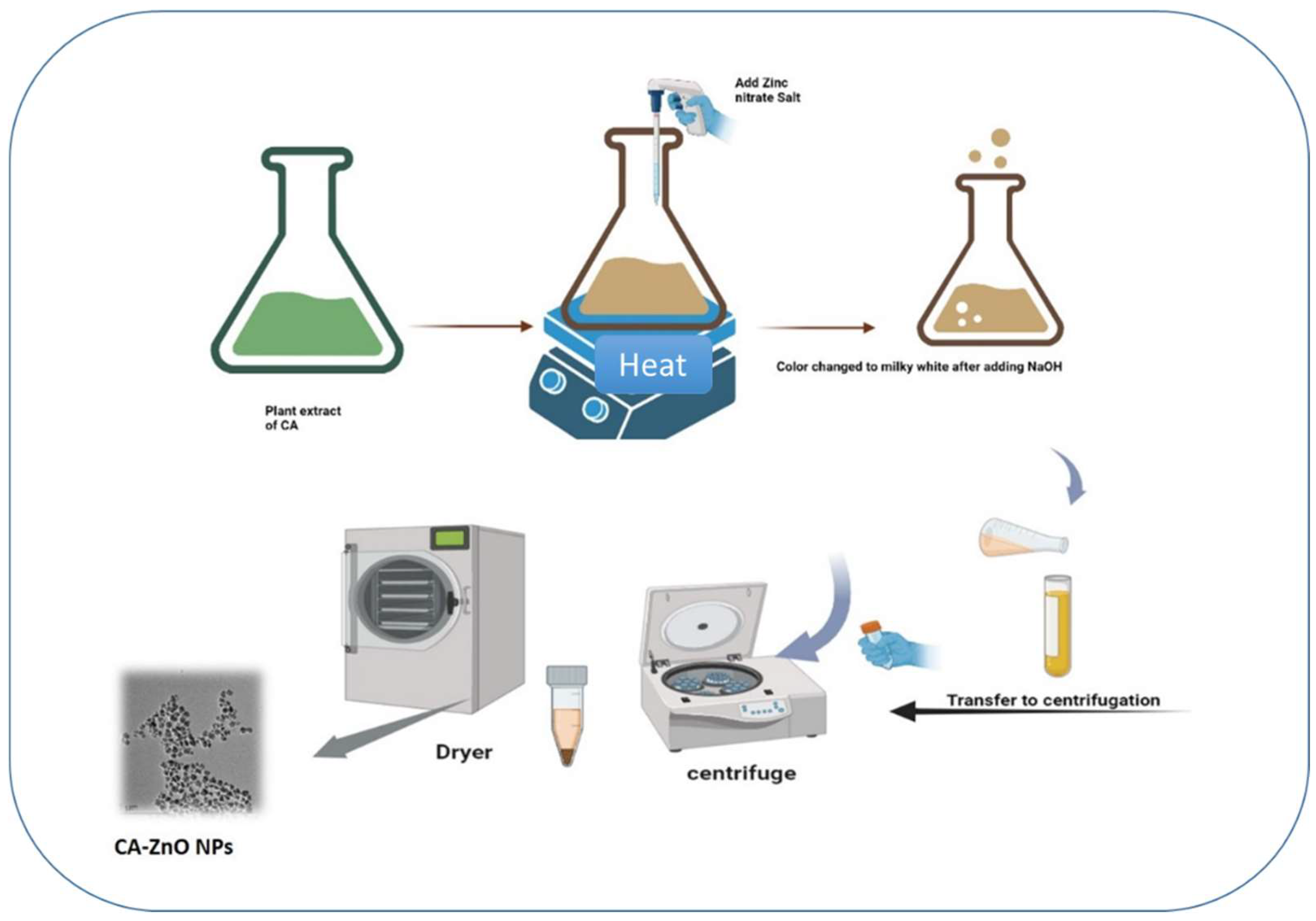 Preprints 82829 g002