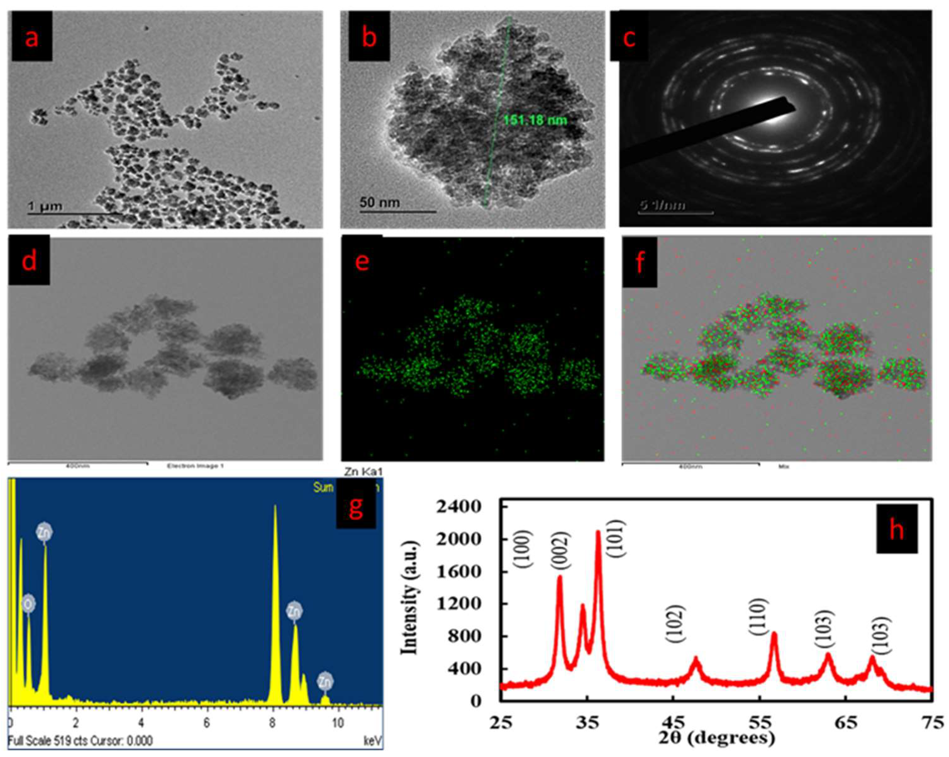 Preprints 82829 g004