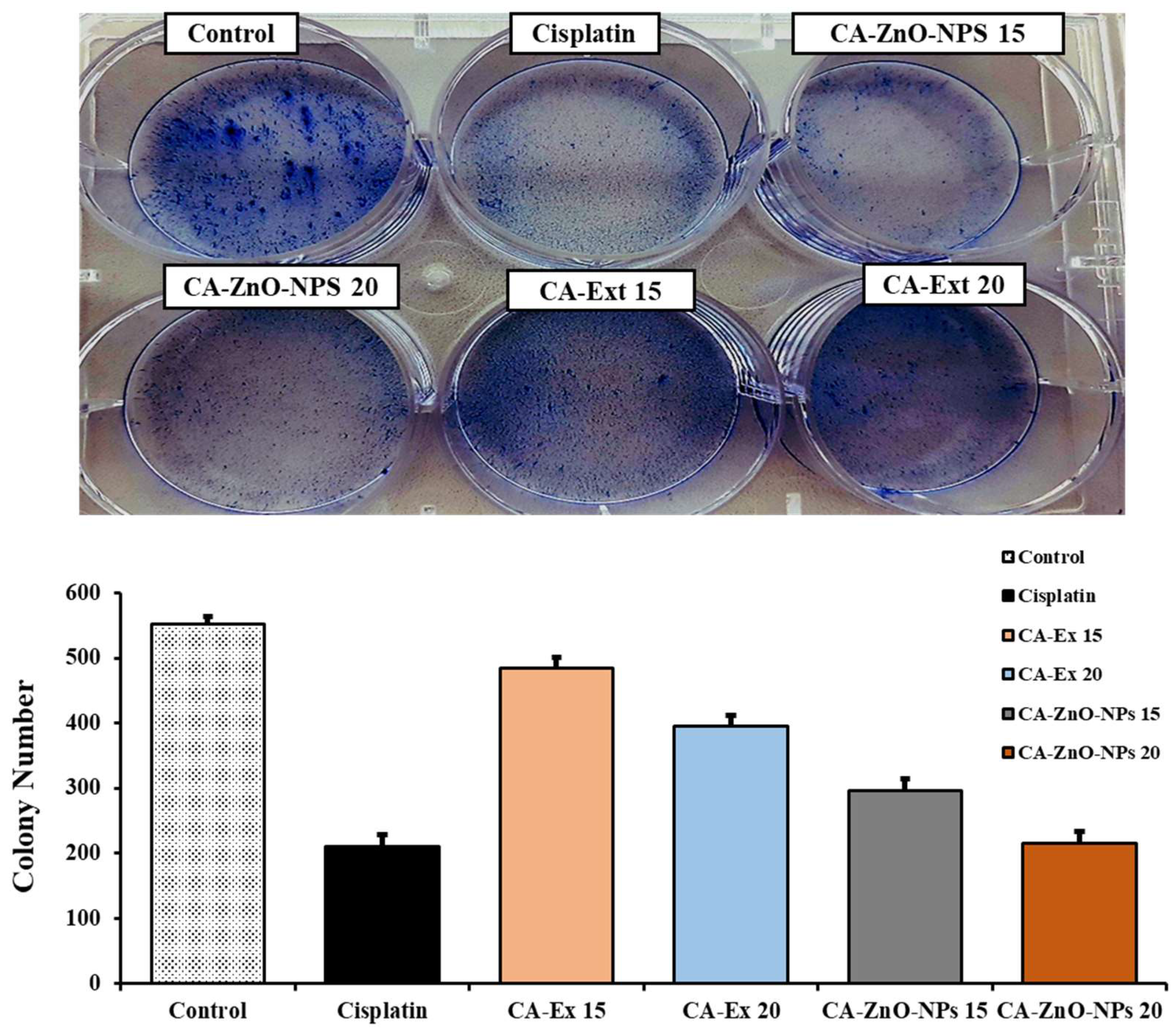 Preprints 82829 g009