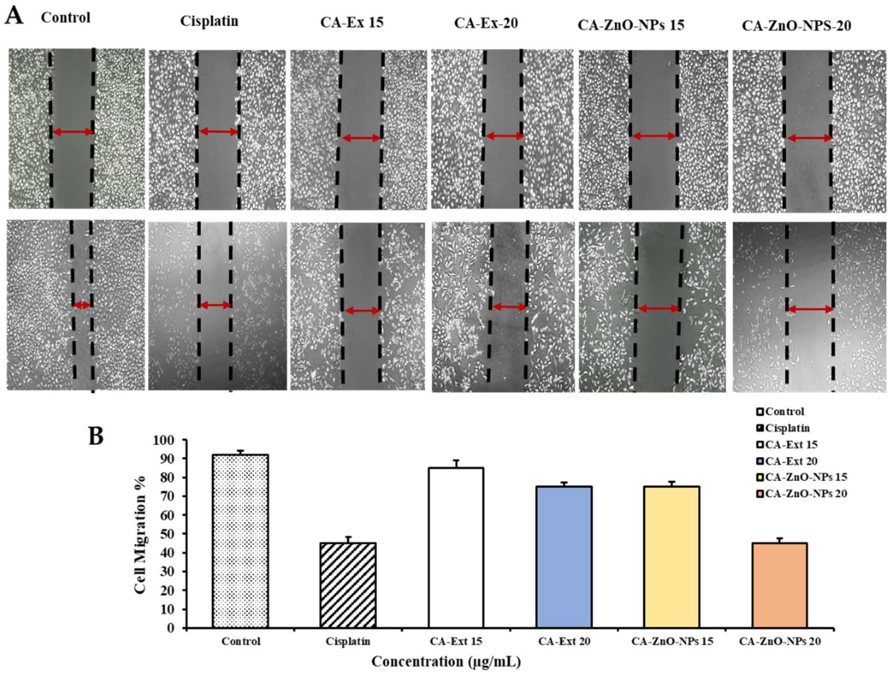 Preprints 82829 g010