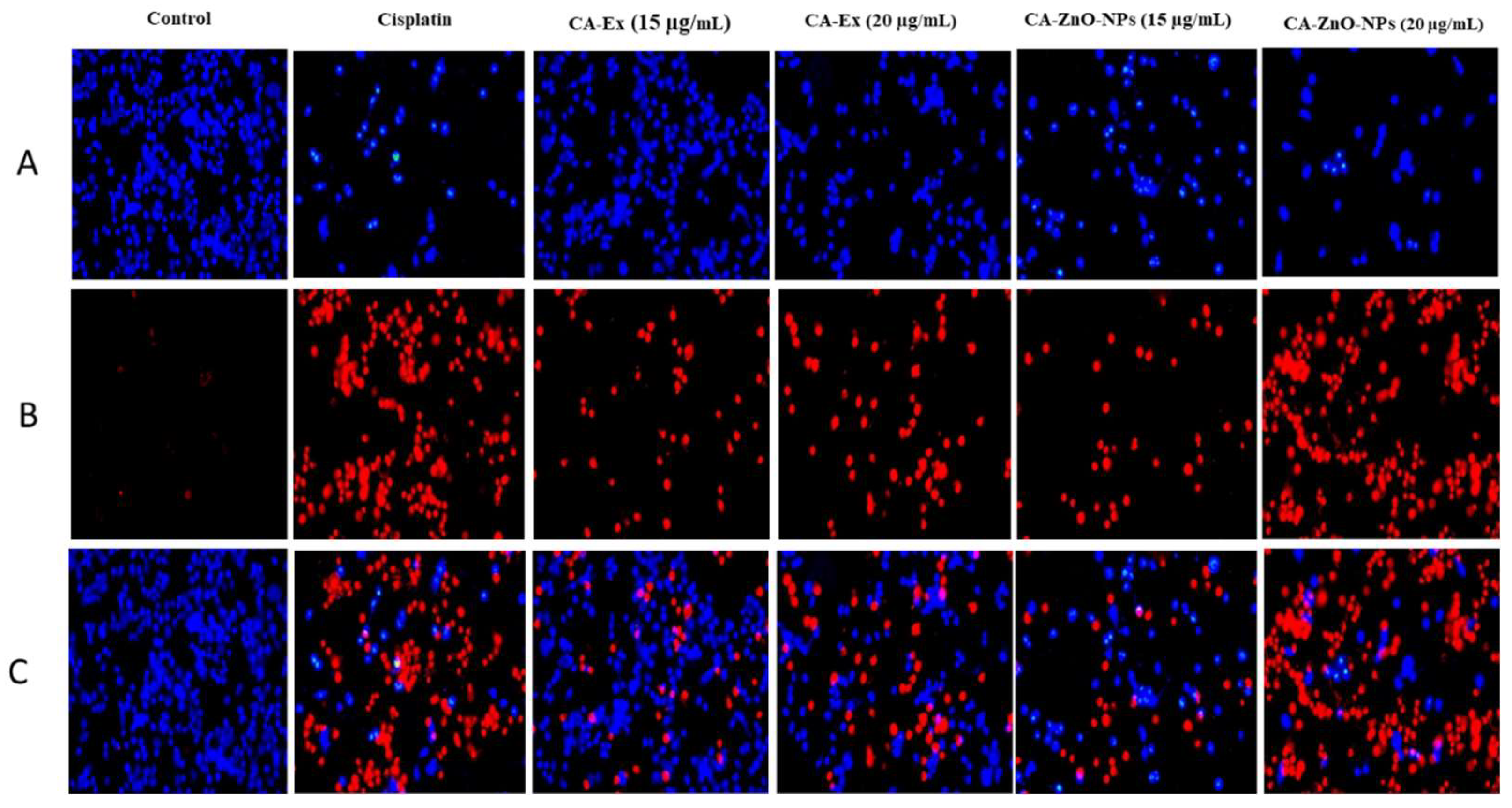 Preprints 82829 g011