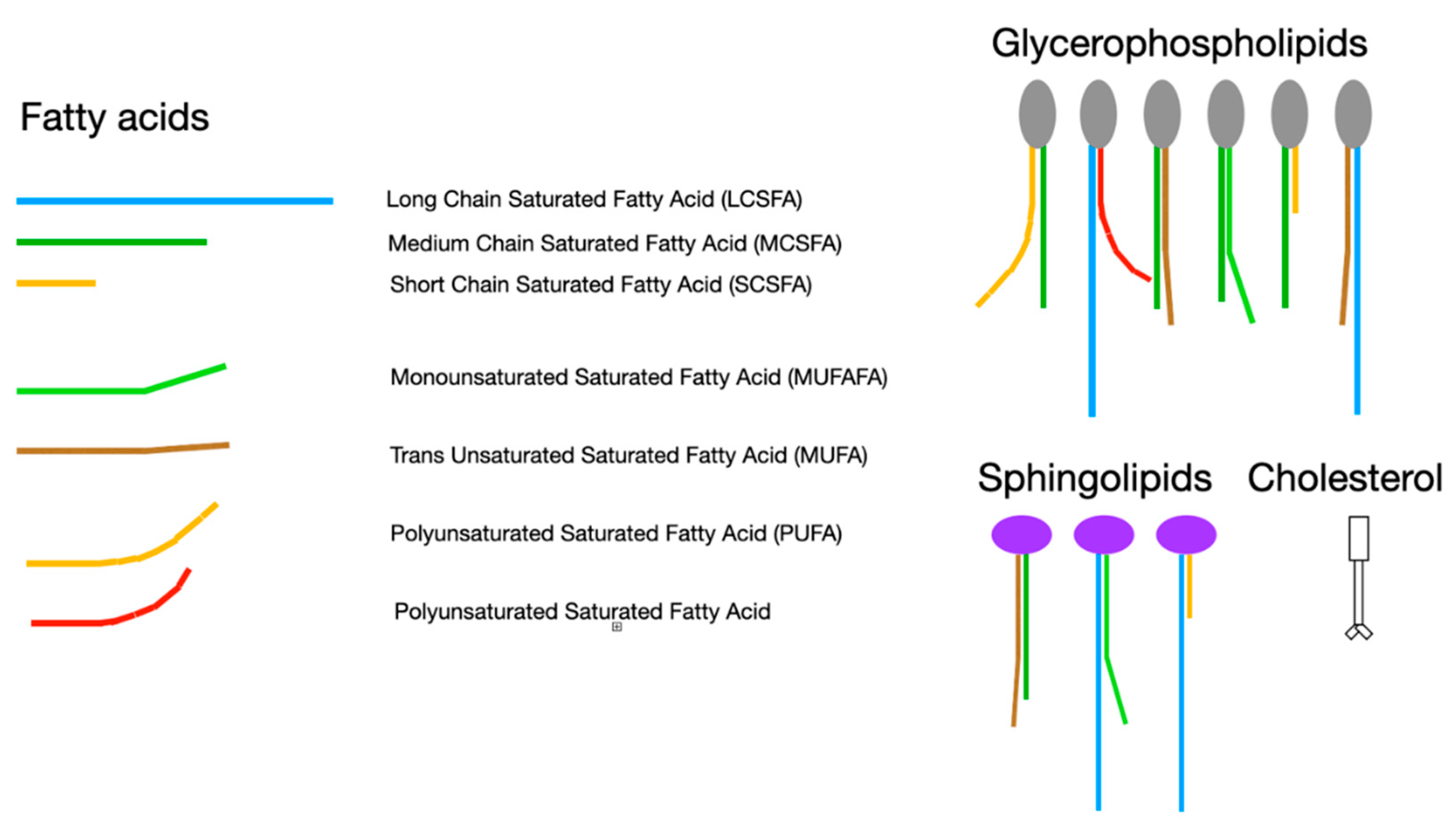 Preprints 105324 g002