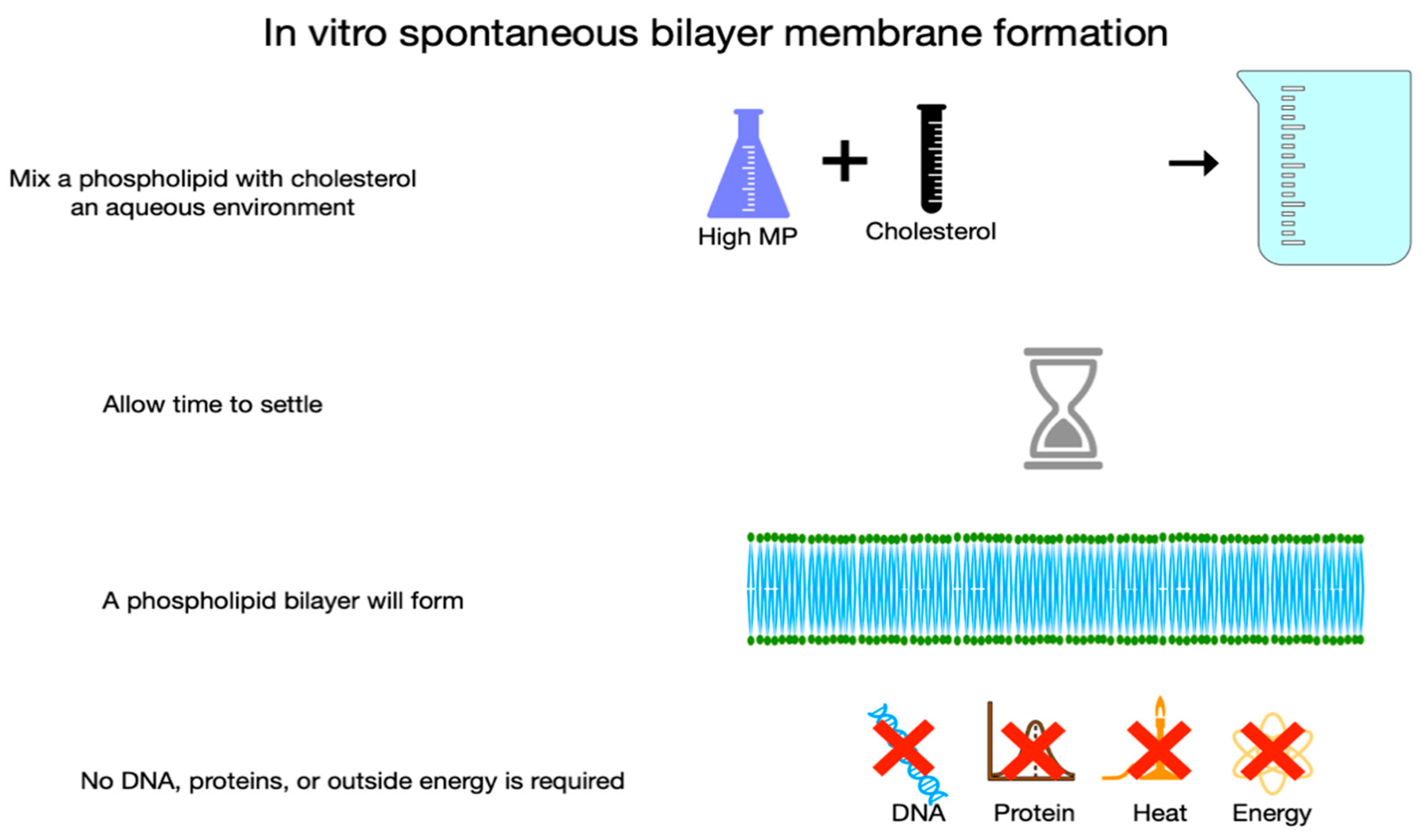 Preprints 105324 g003