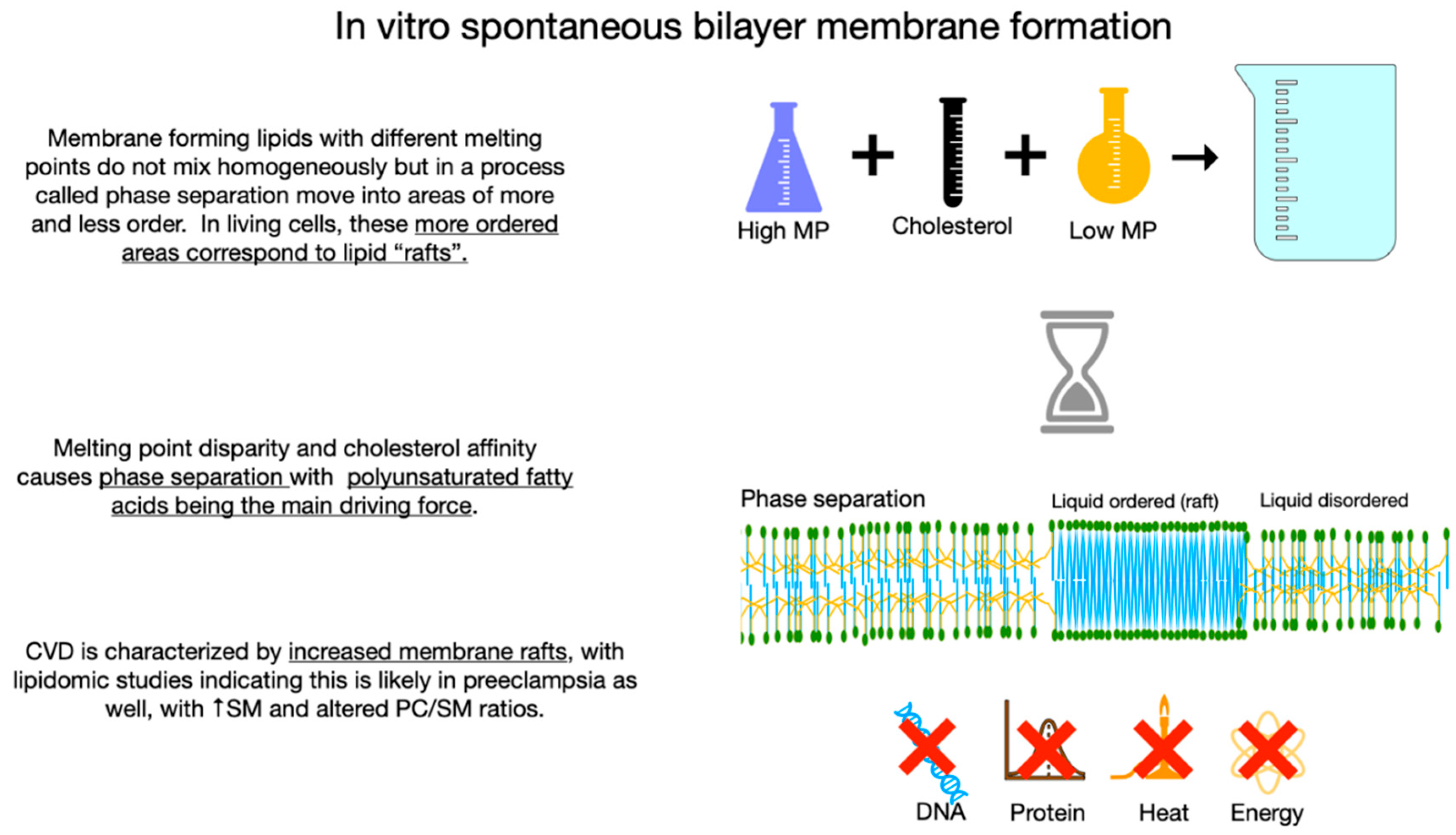 Preprints 105324 g004