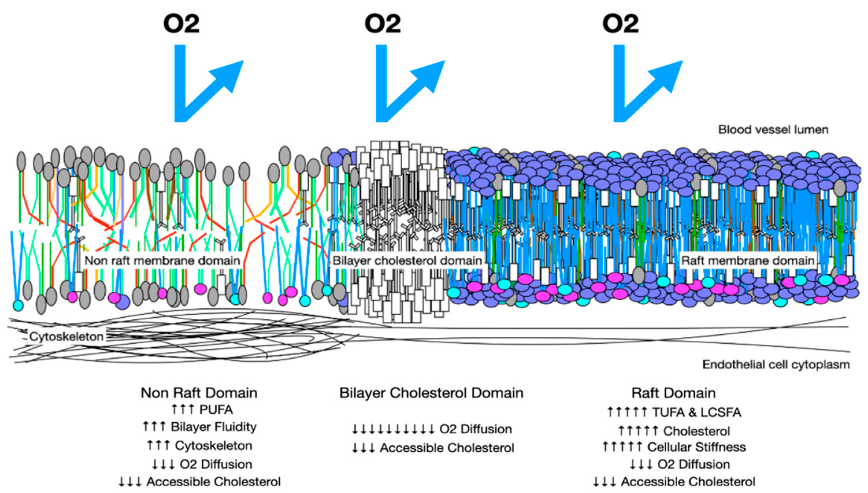 Preprints 105324 g008