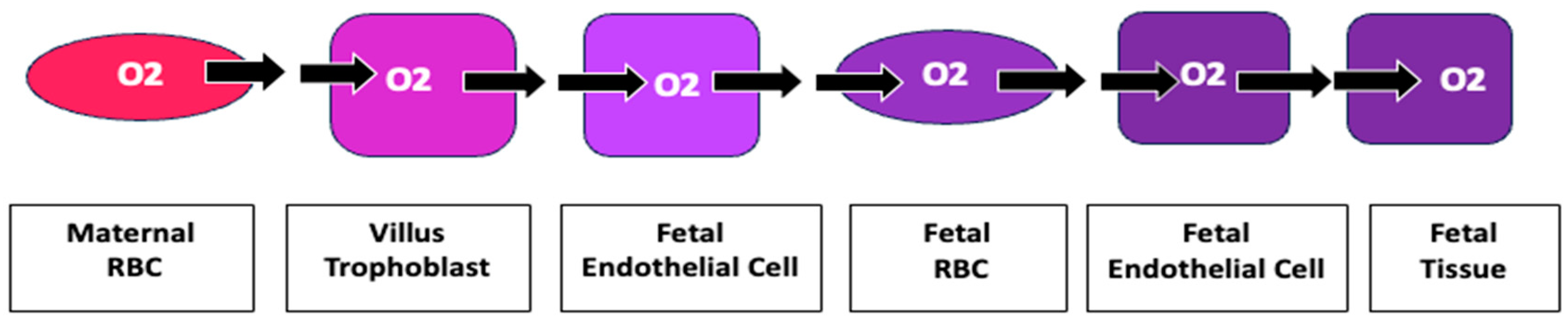 Preprints 105324 g009