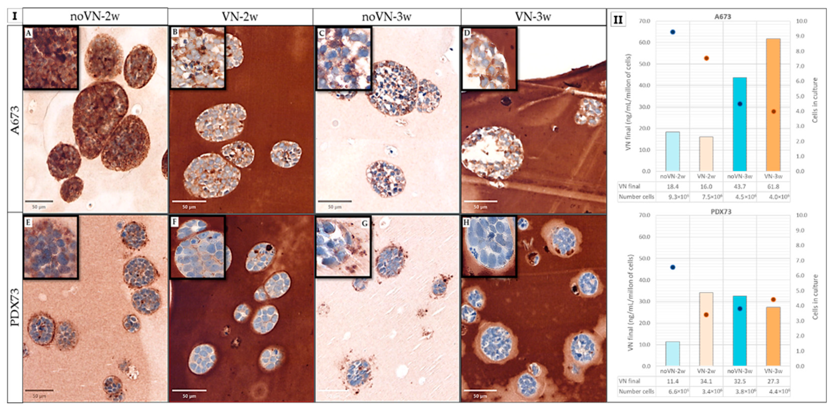 Preprints 114562 g002