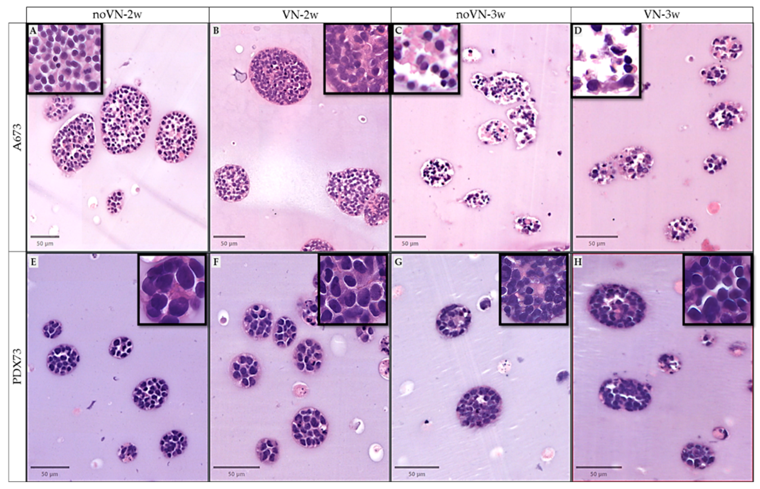 Preprints 114562 g003