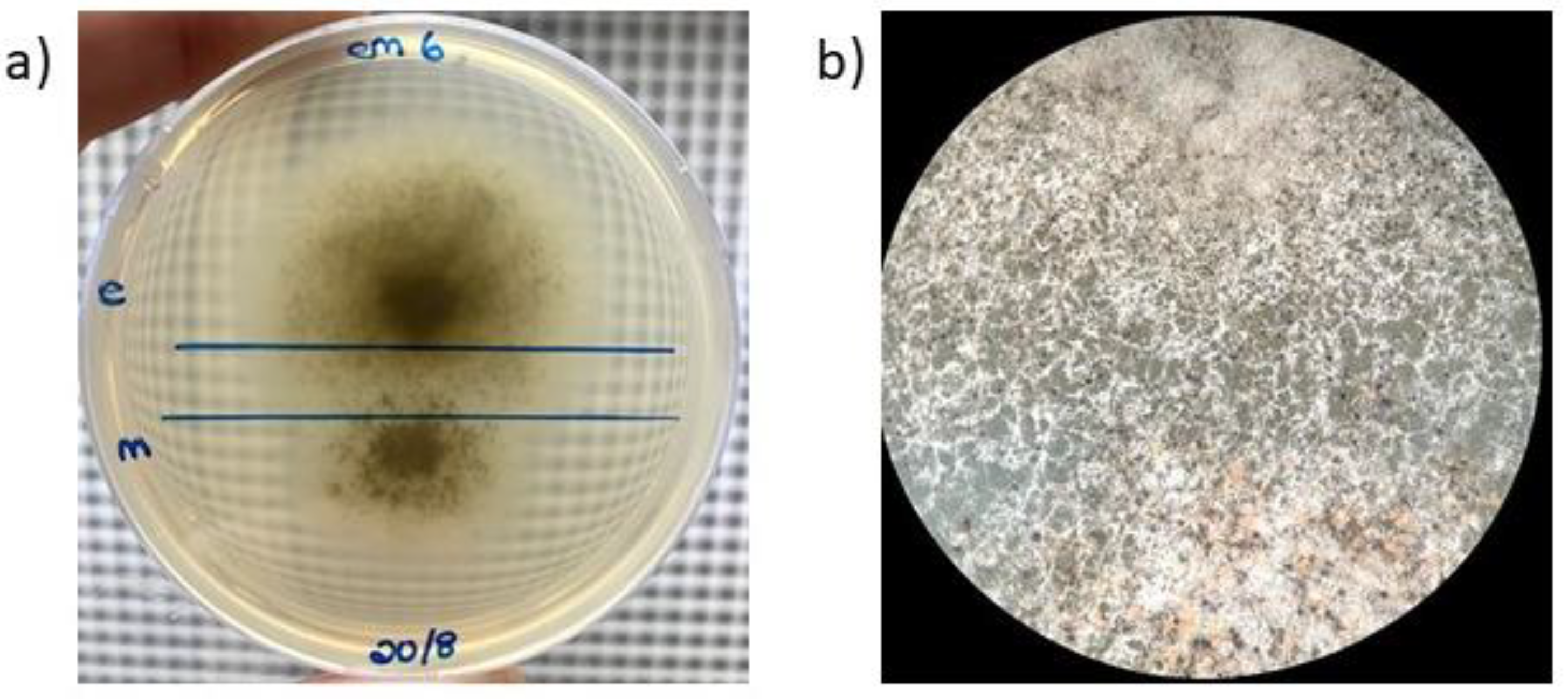 Preprints 72267 g002