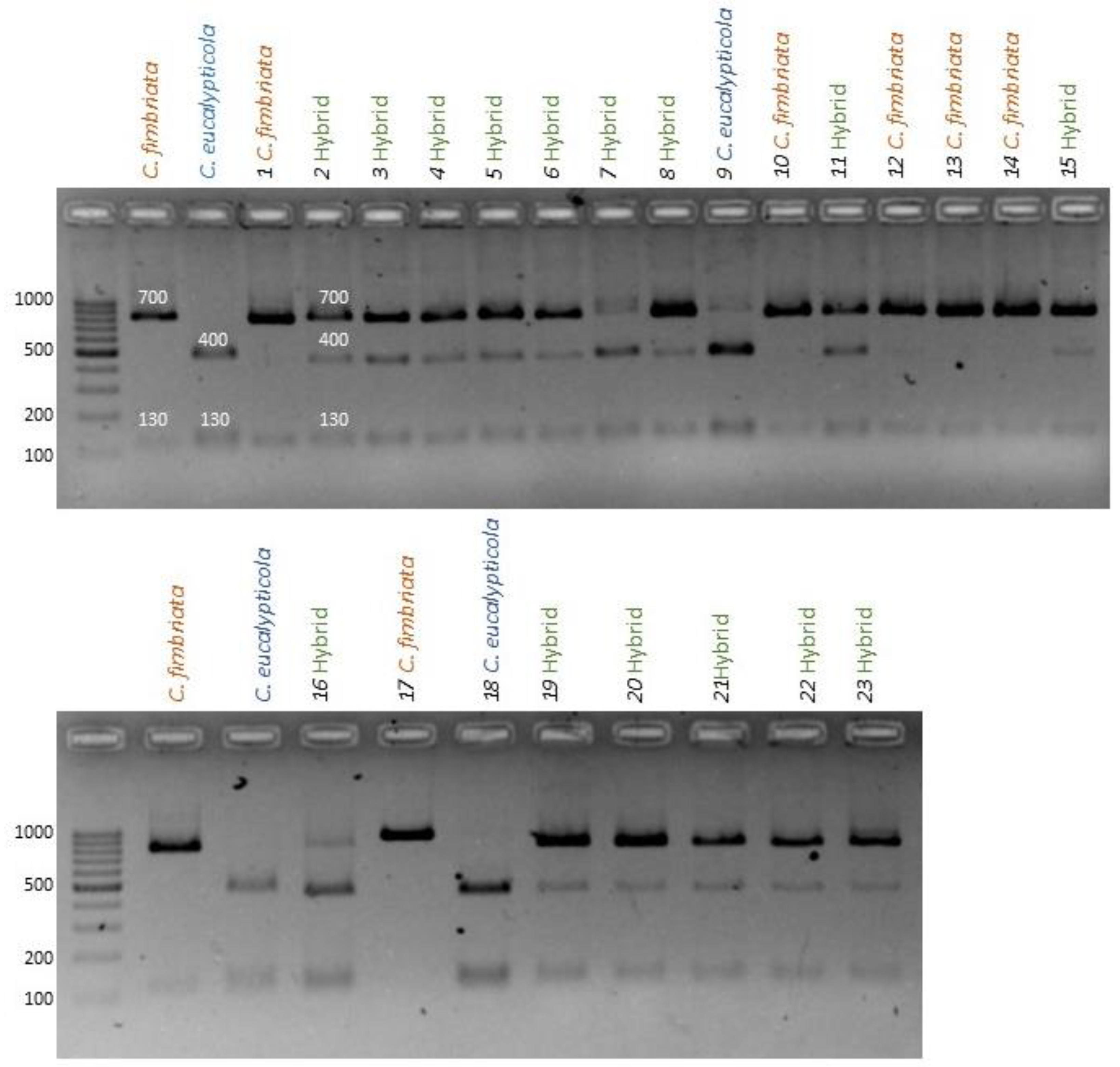 Preprints 72267 g004