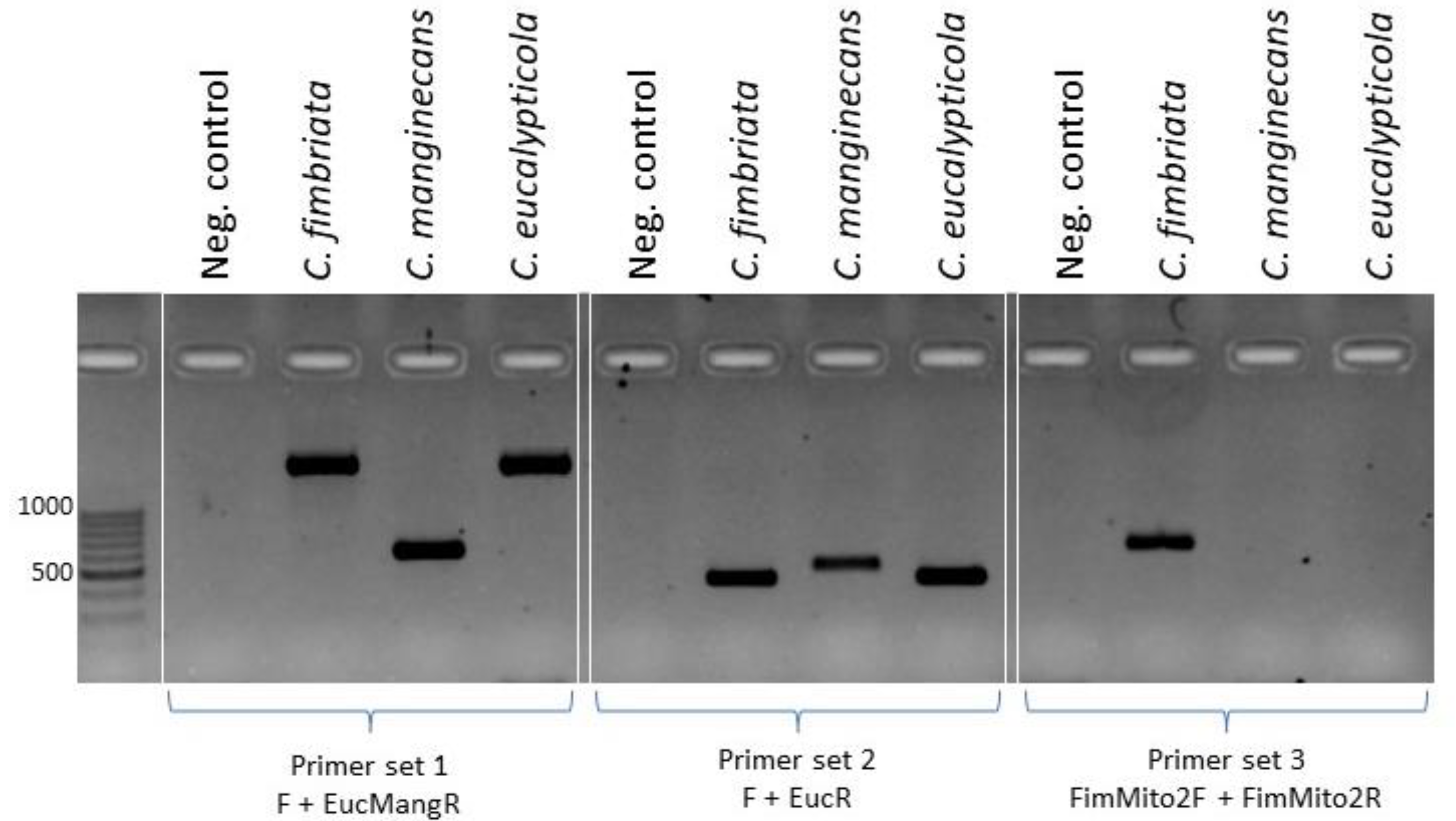 Preprints 72267 g005