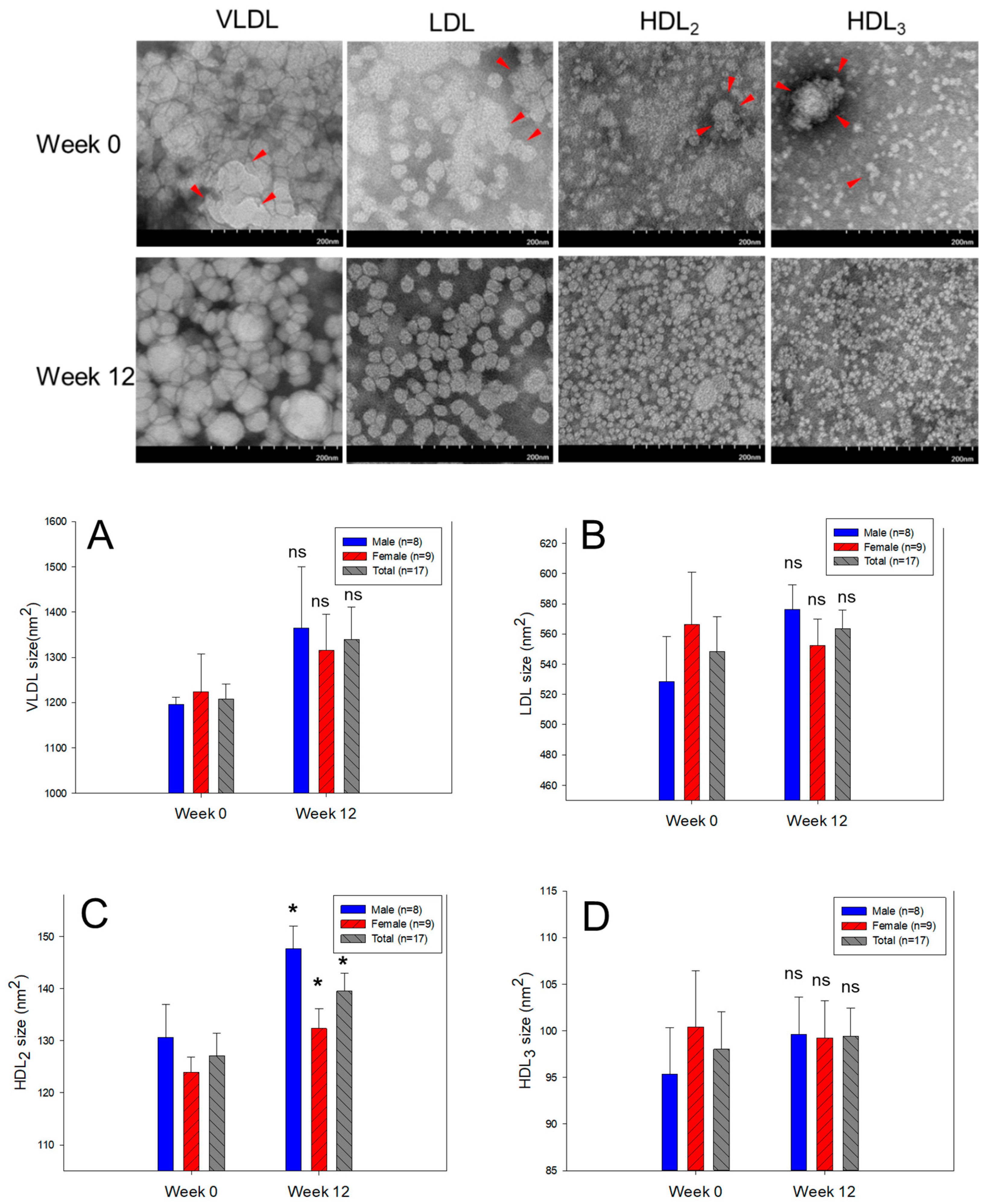 Preprints 90782 g003