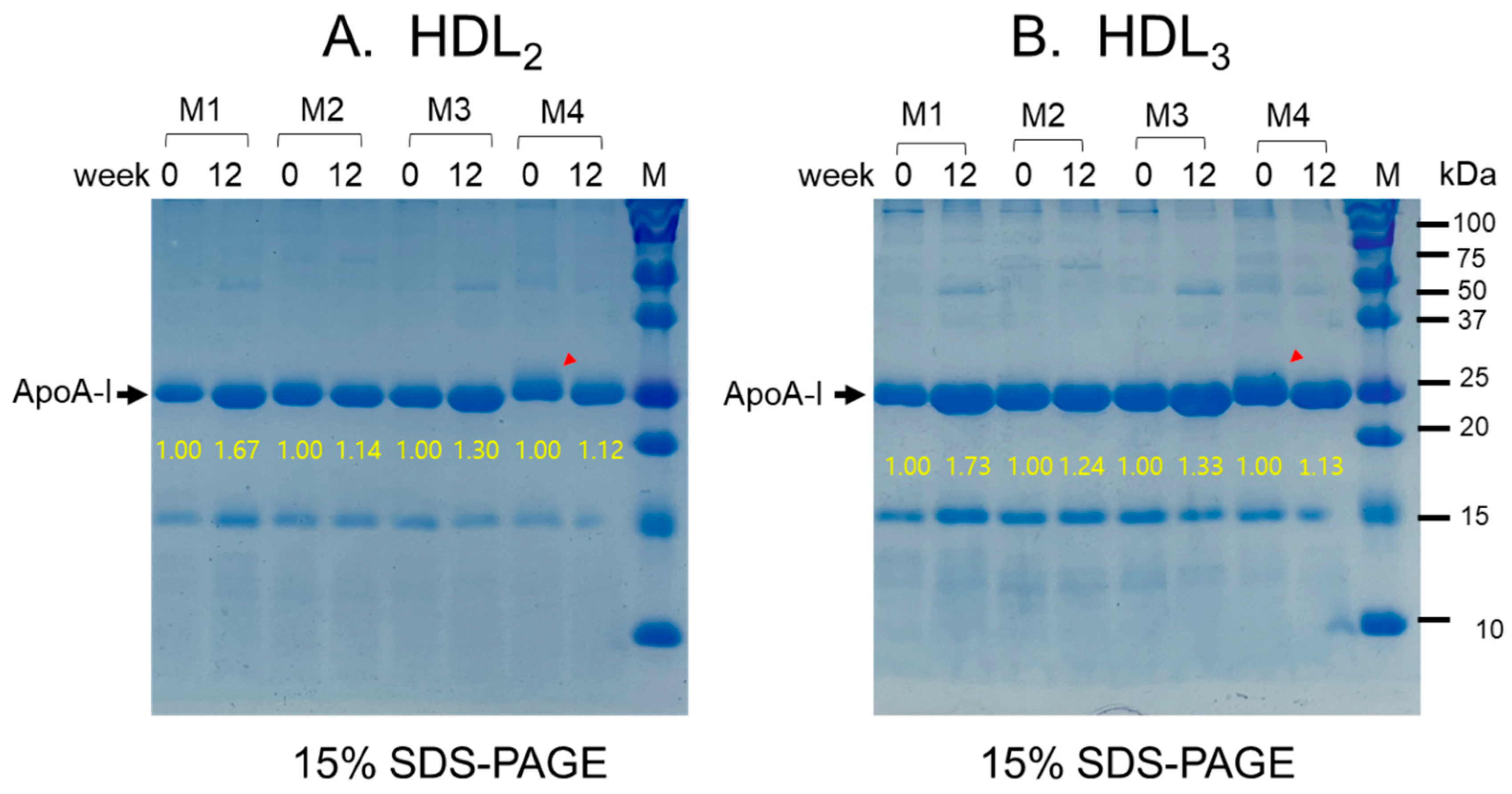 Preprints 90782 g004