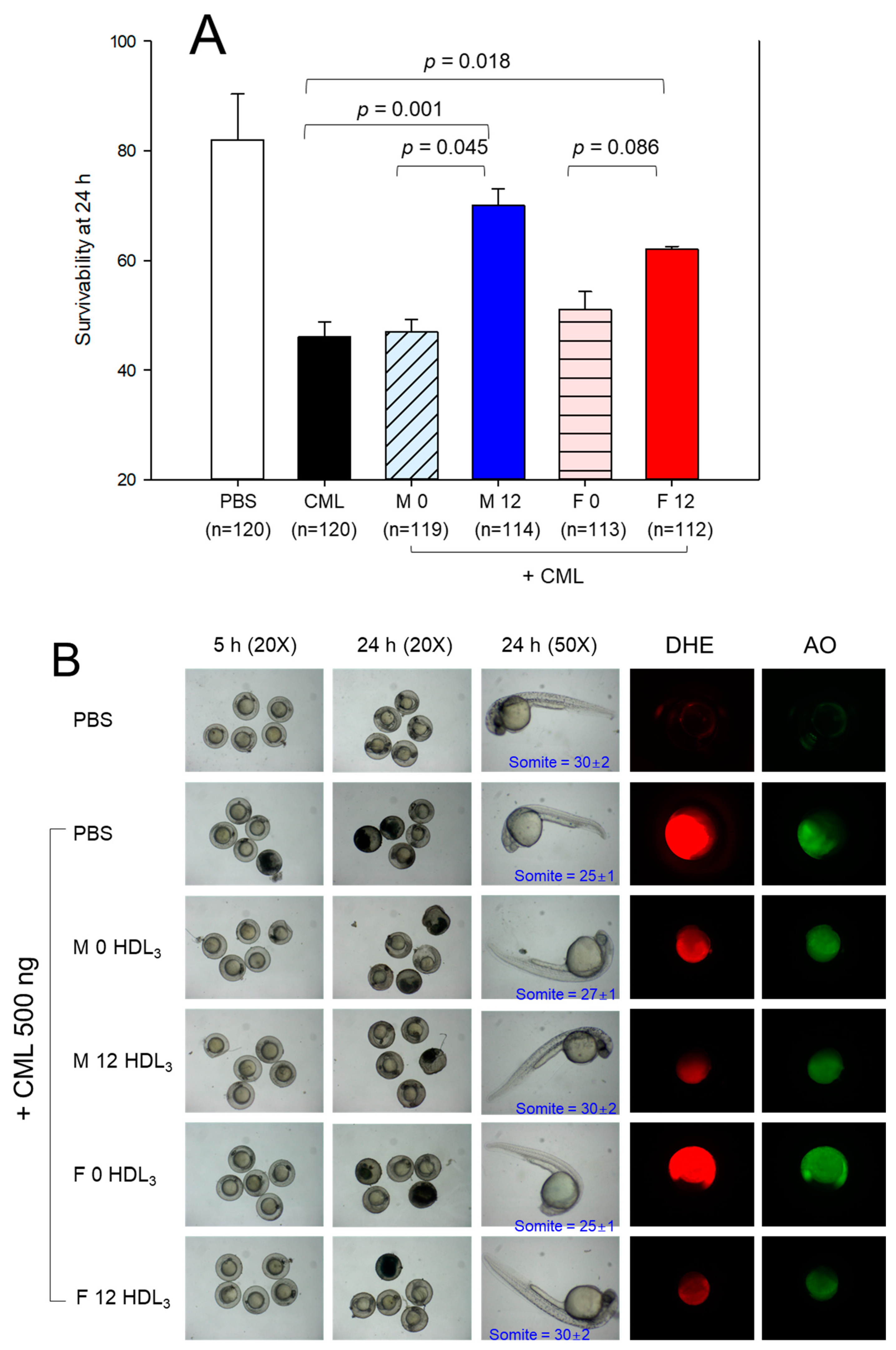 Preprints 90782 g006a