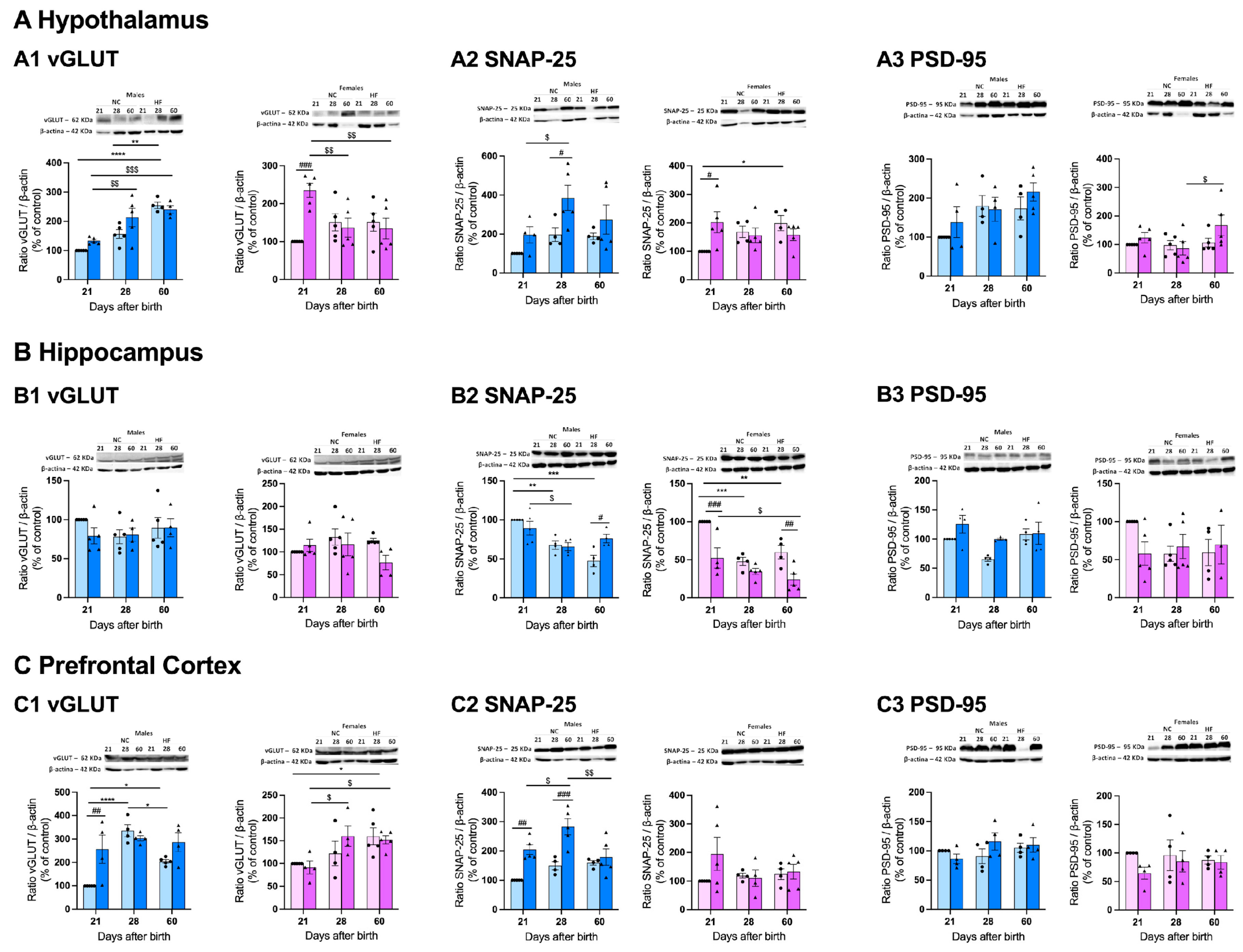 Preprints 91796 g006