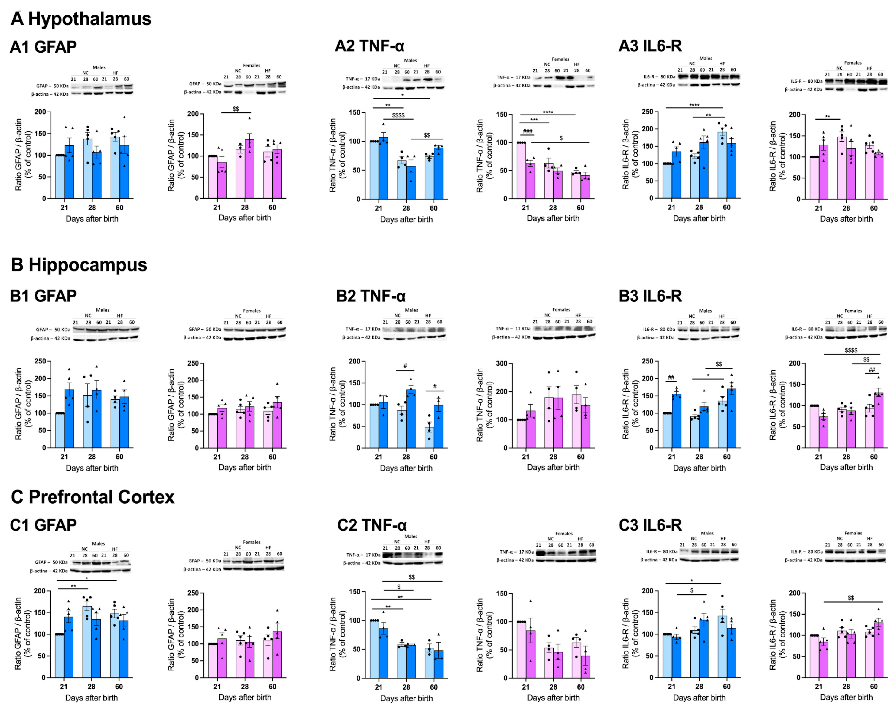 Preprints 91796 g008