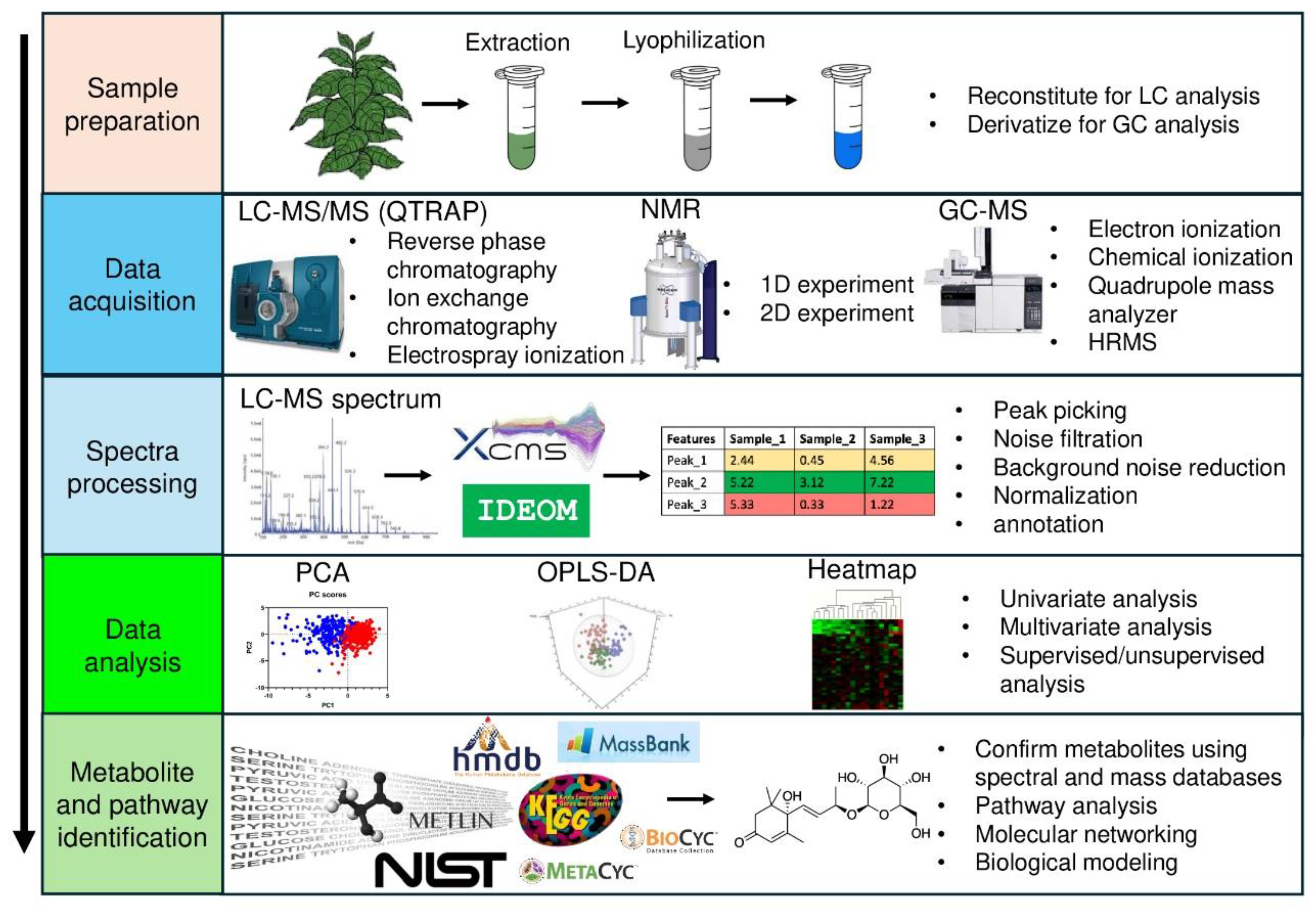 Preprints 100876 g005