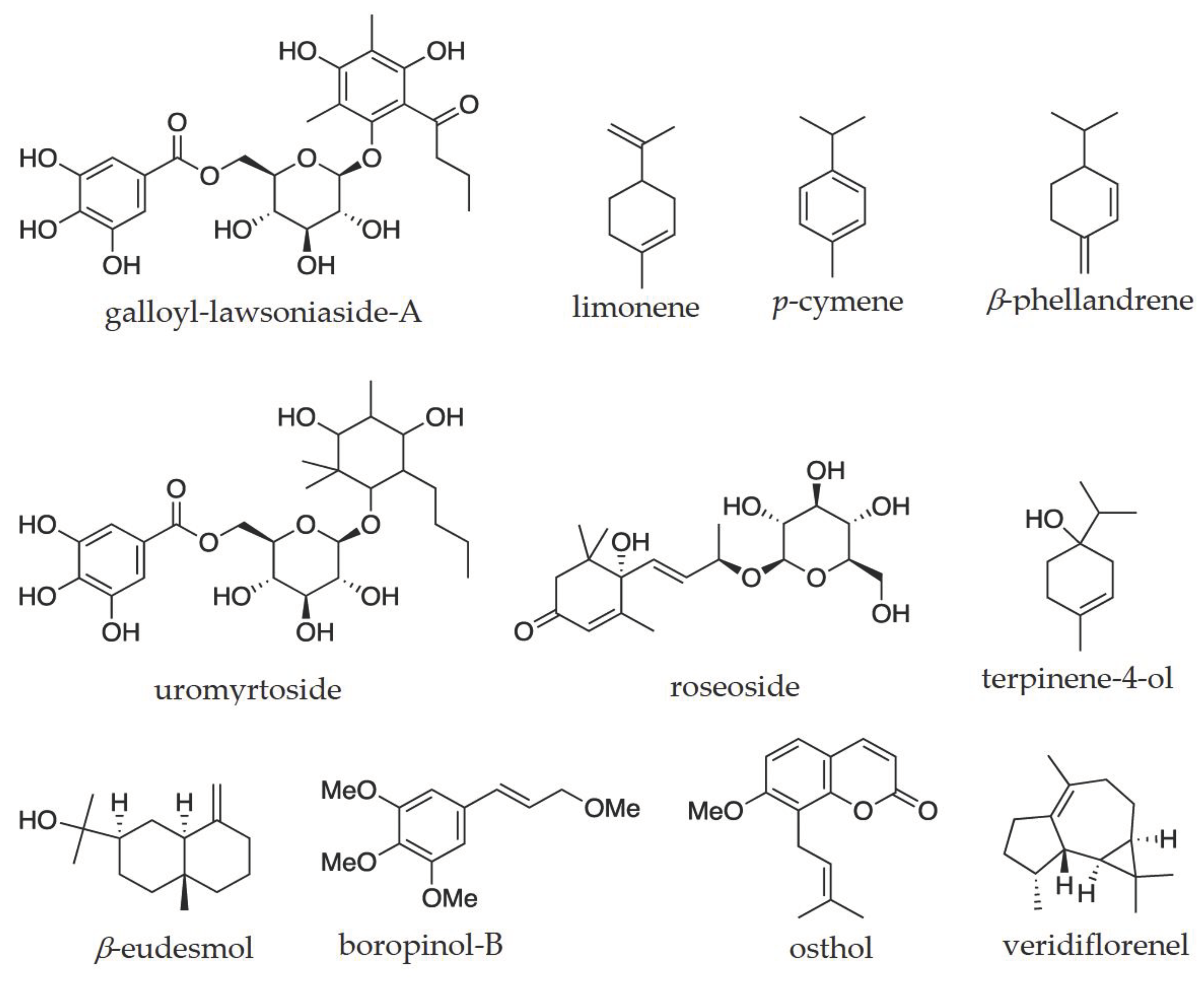 Preprints 100876 g006