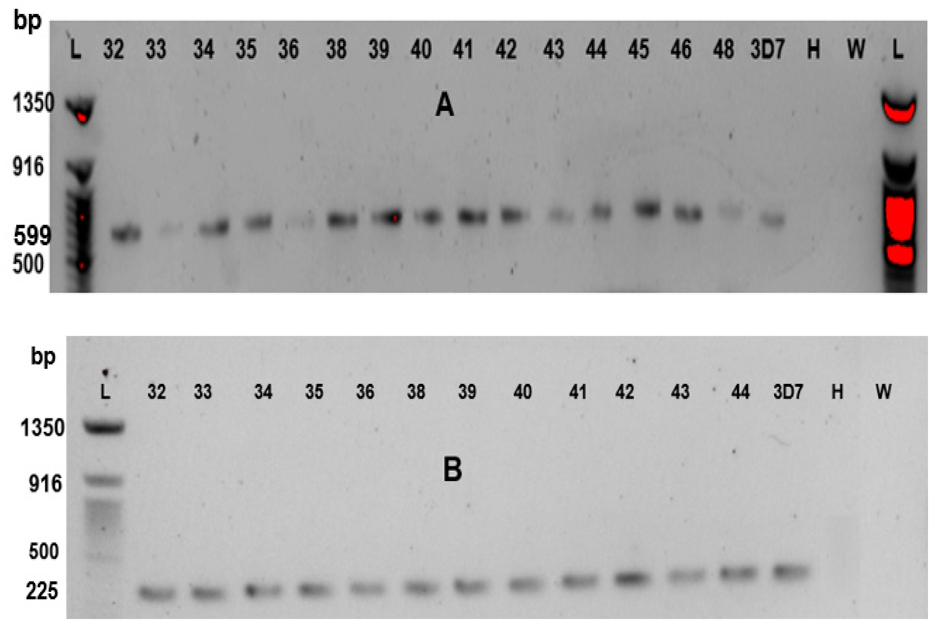 Preprints 66853 g001