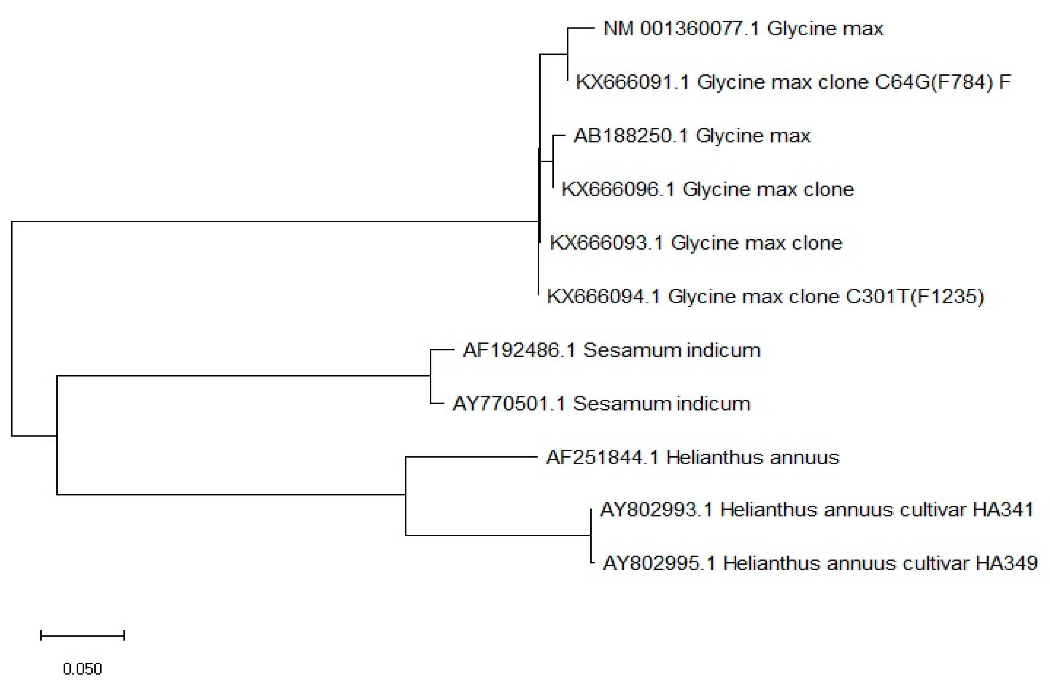 Preprints 113917 g002