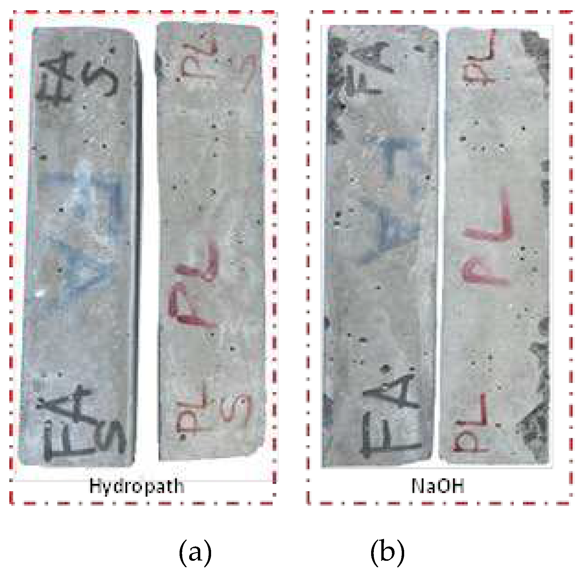 Preprints 95161 g008