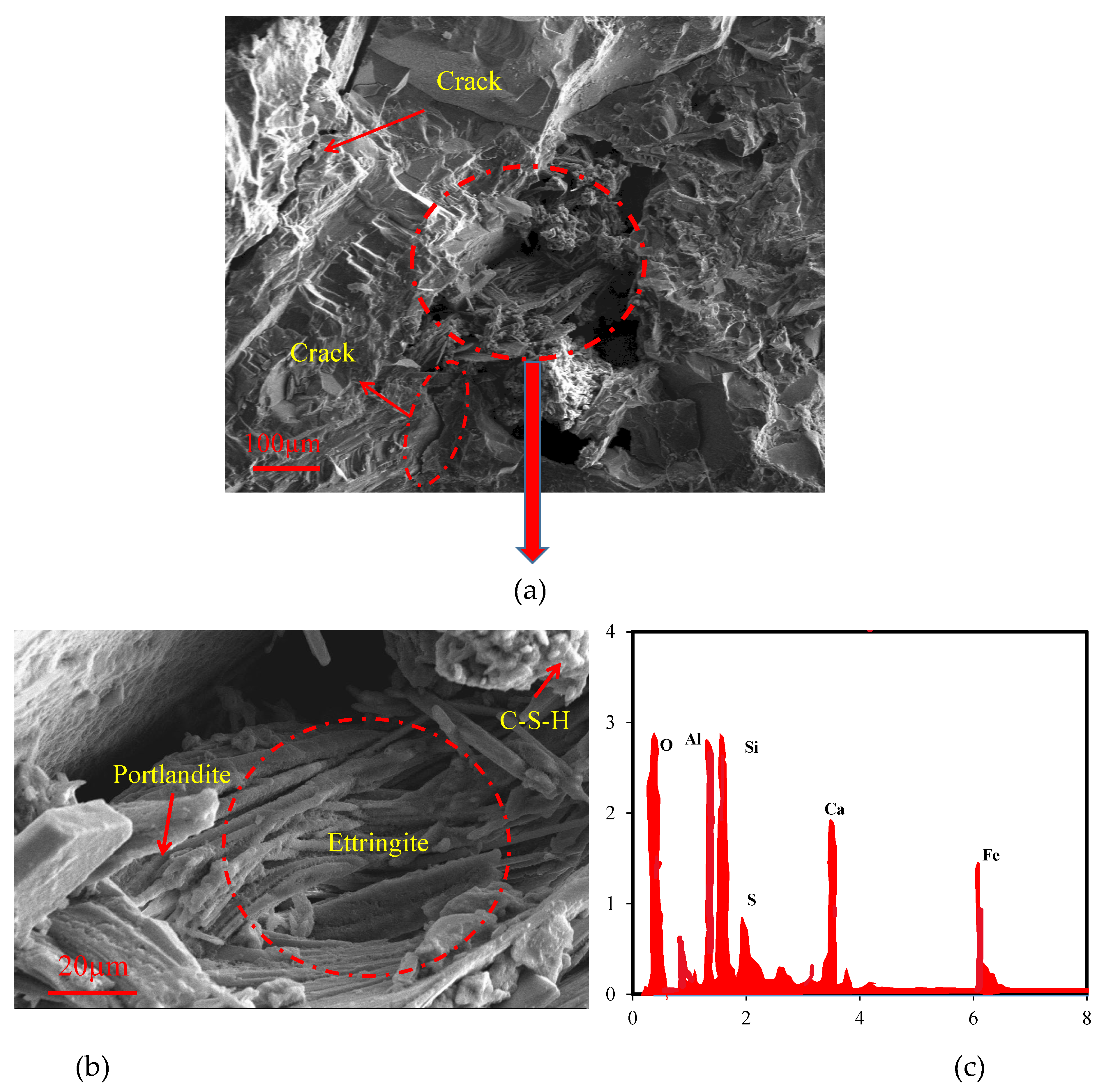 Preprints 95161 g010