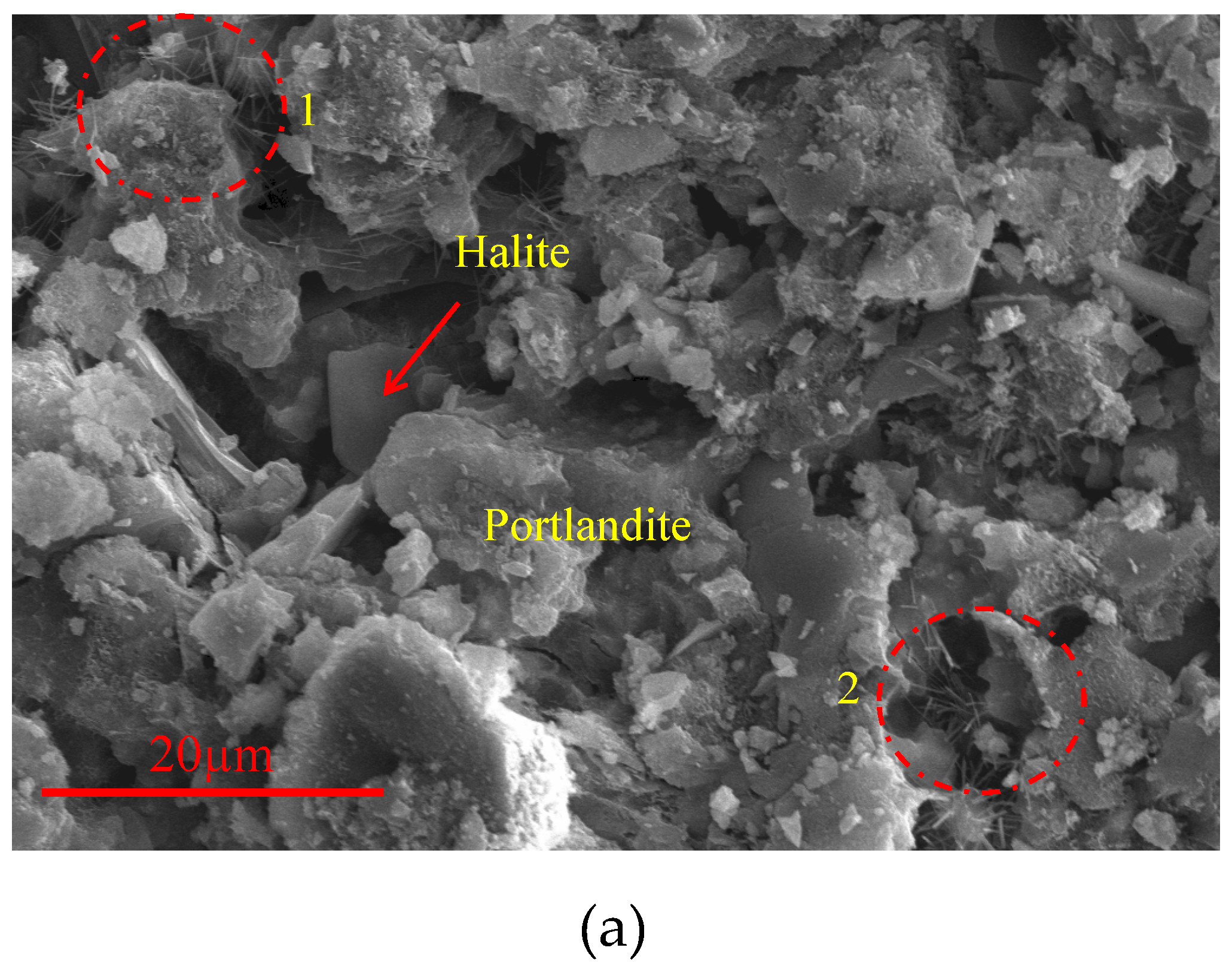 Preprints 95161 g011a