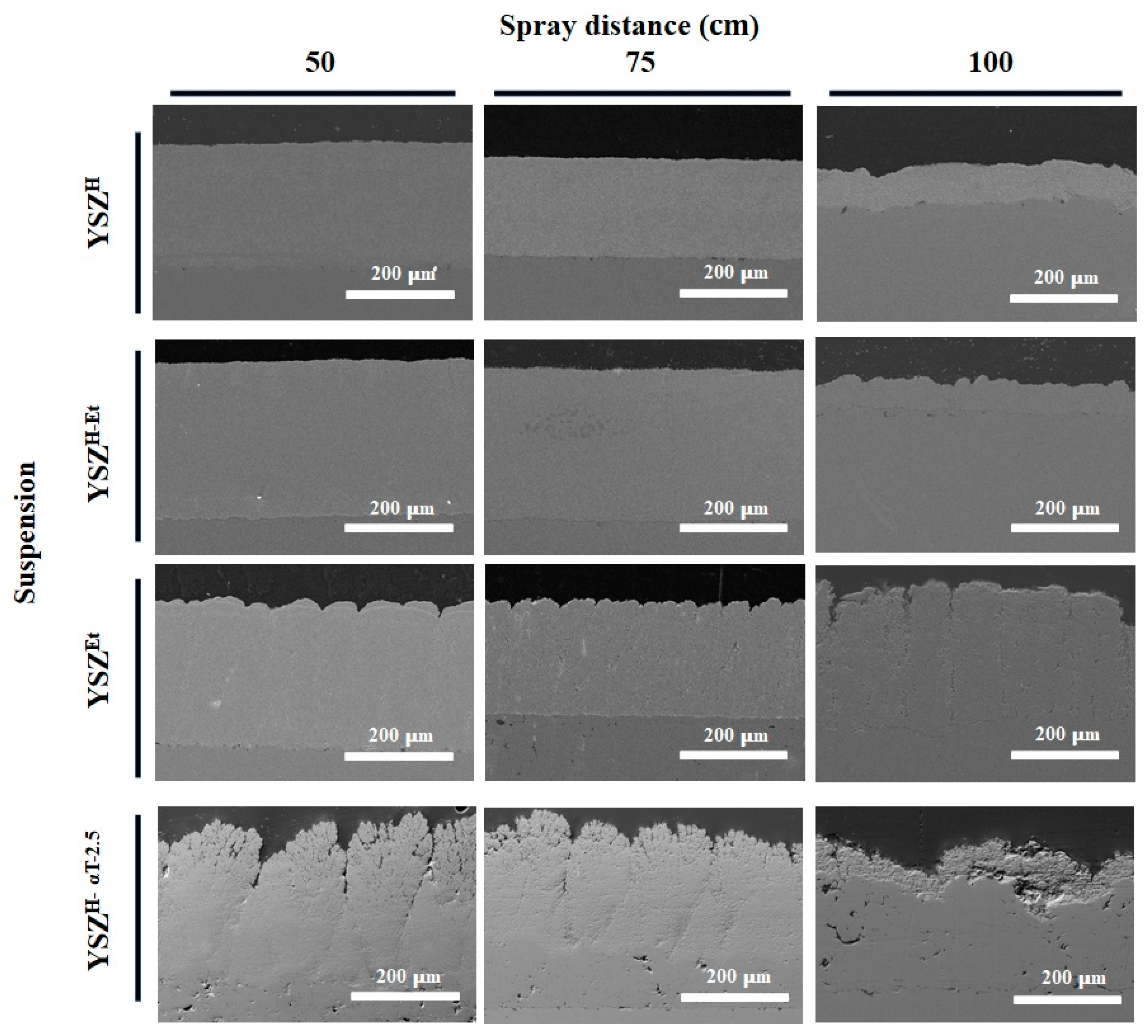 Preprints 75957 g005