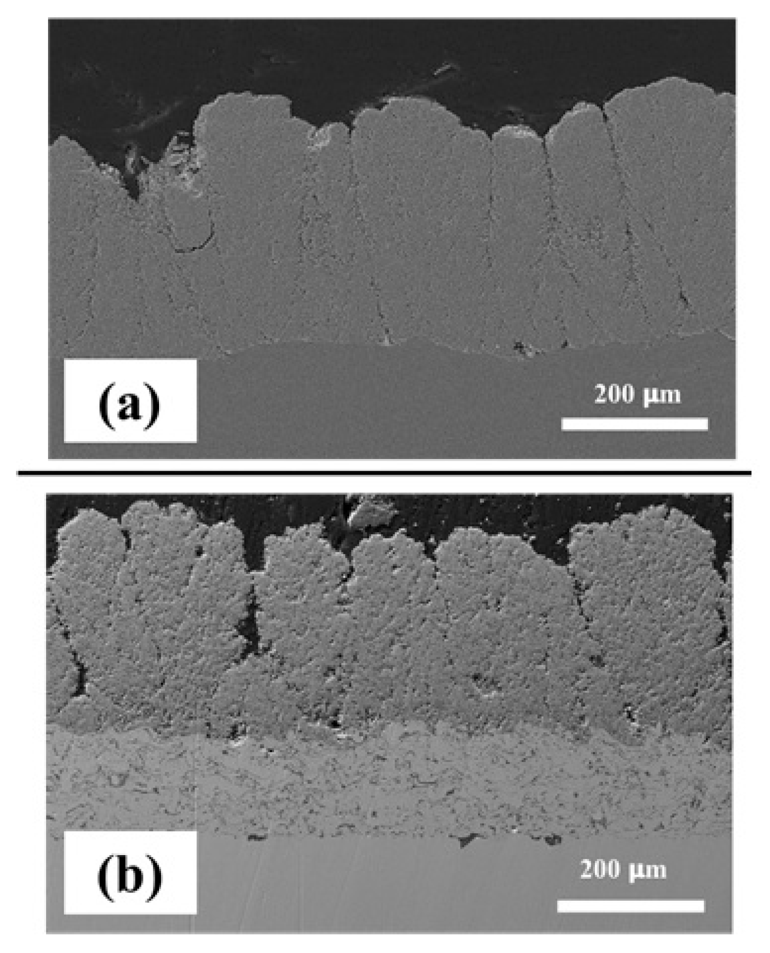 Preprints 75957 g006