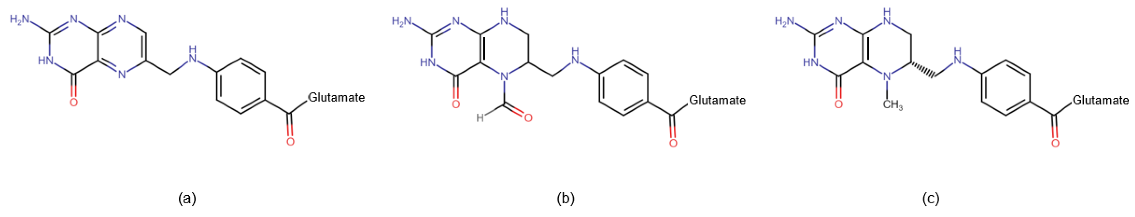 Preprints 106898 g002