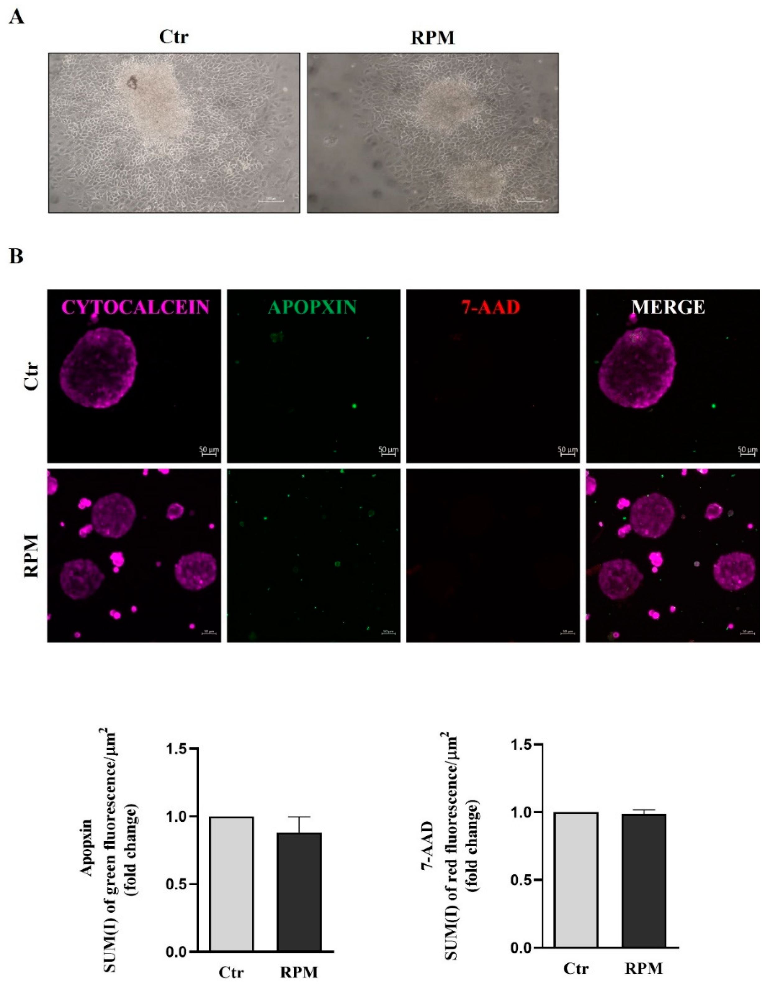 Preprints 79745 g001