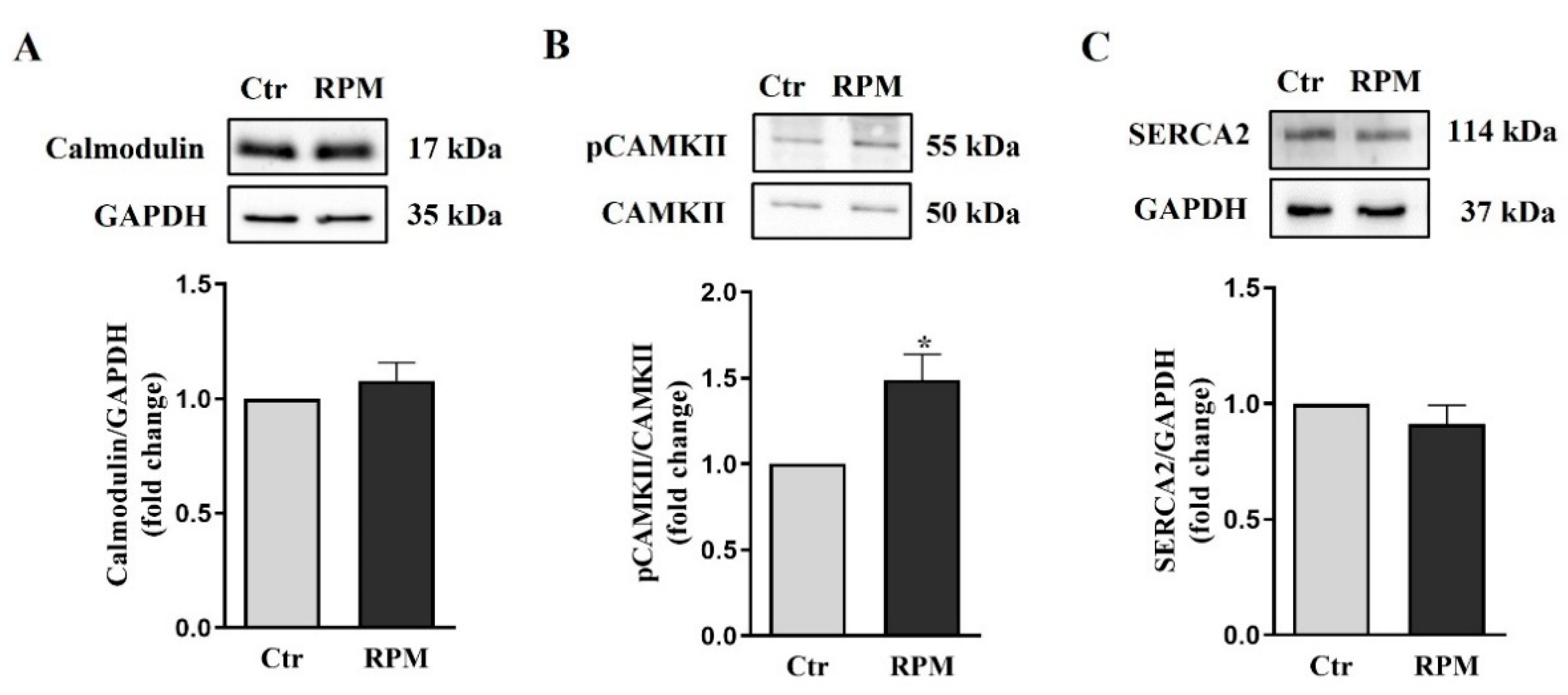 Preprints 79745 g003