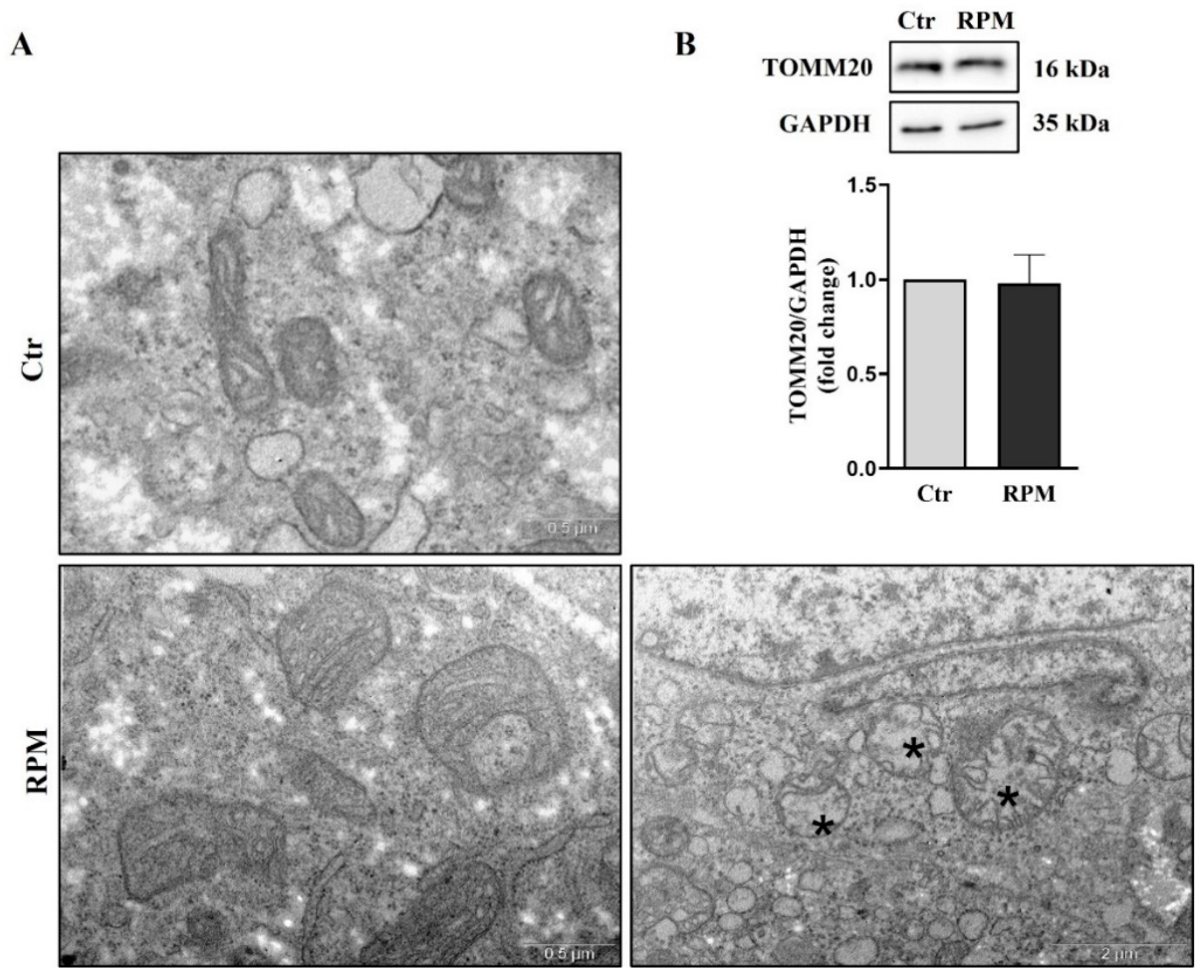 Preprints 79745 g004