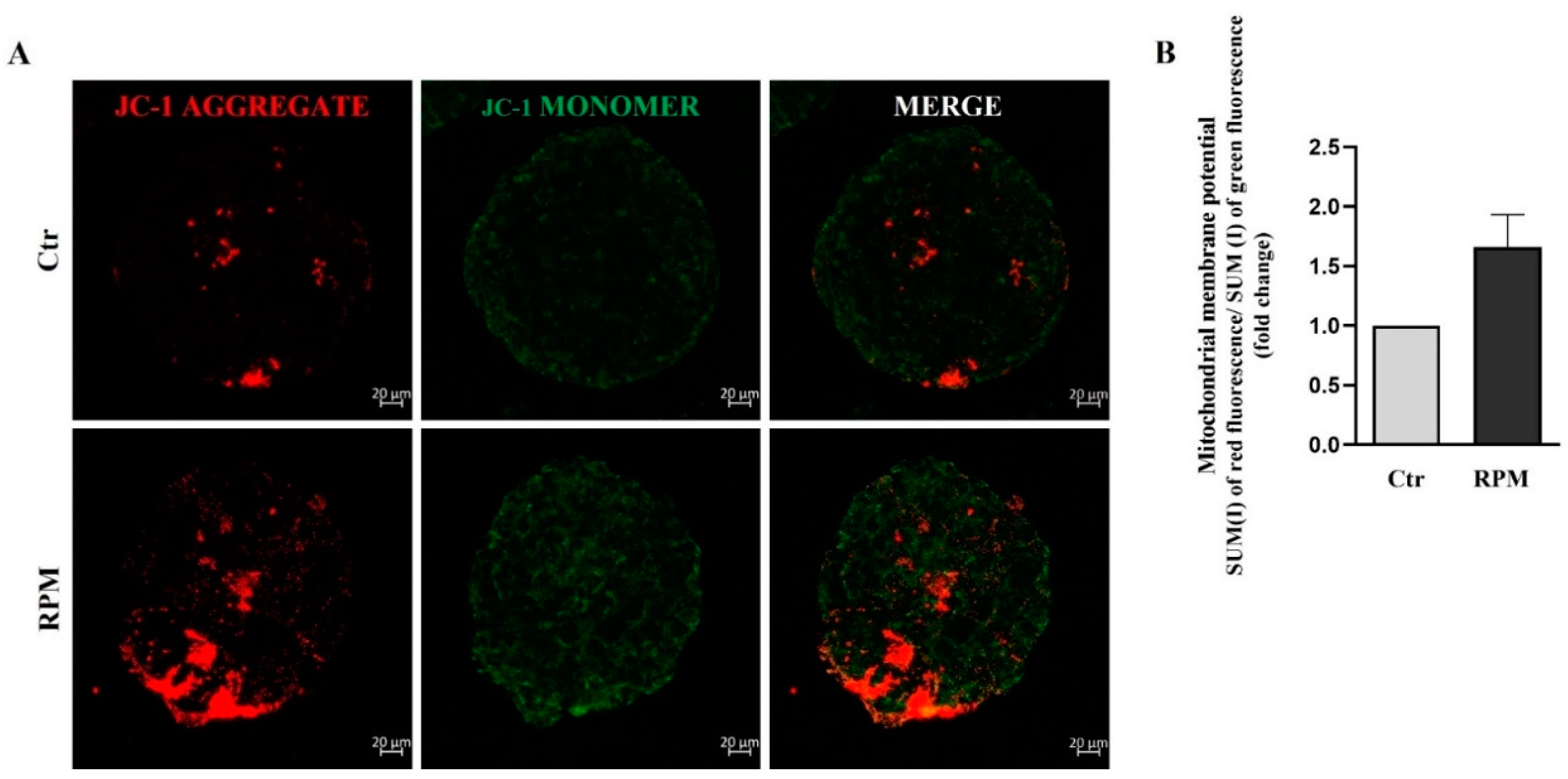 Preprints 79745 g005