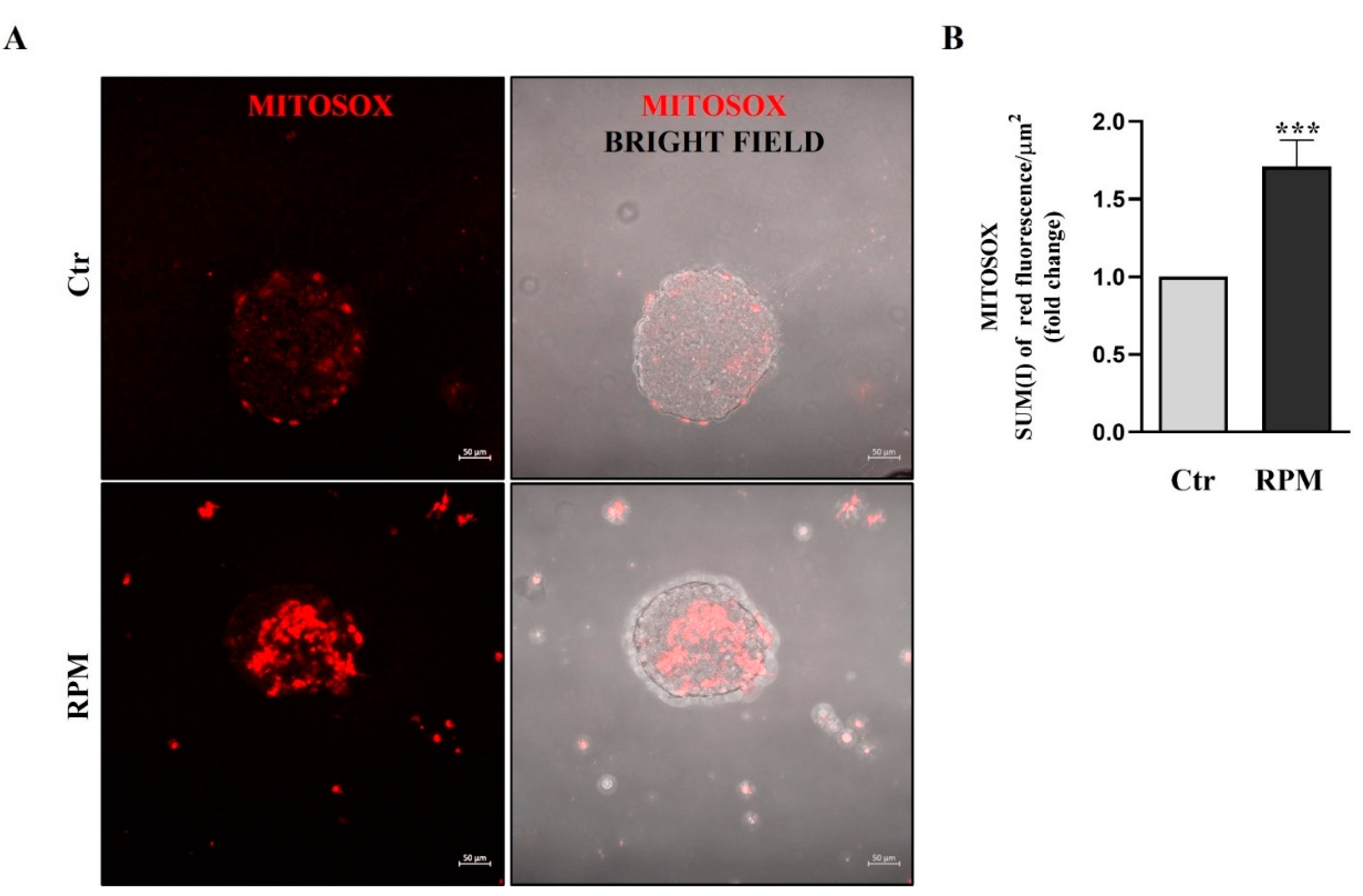 Preprints 79745 g006