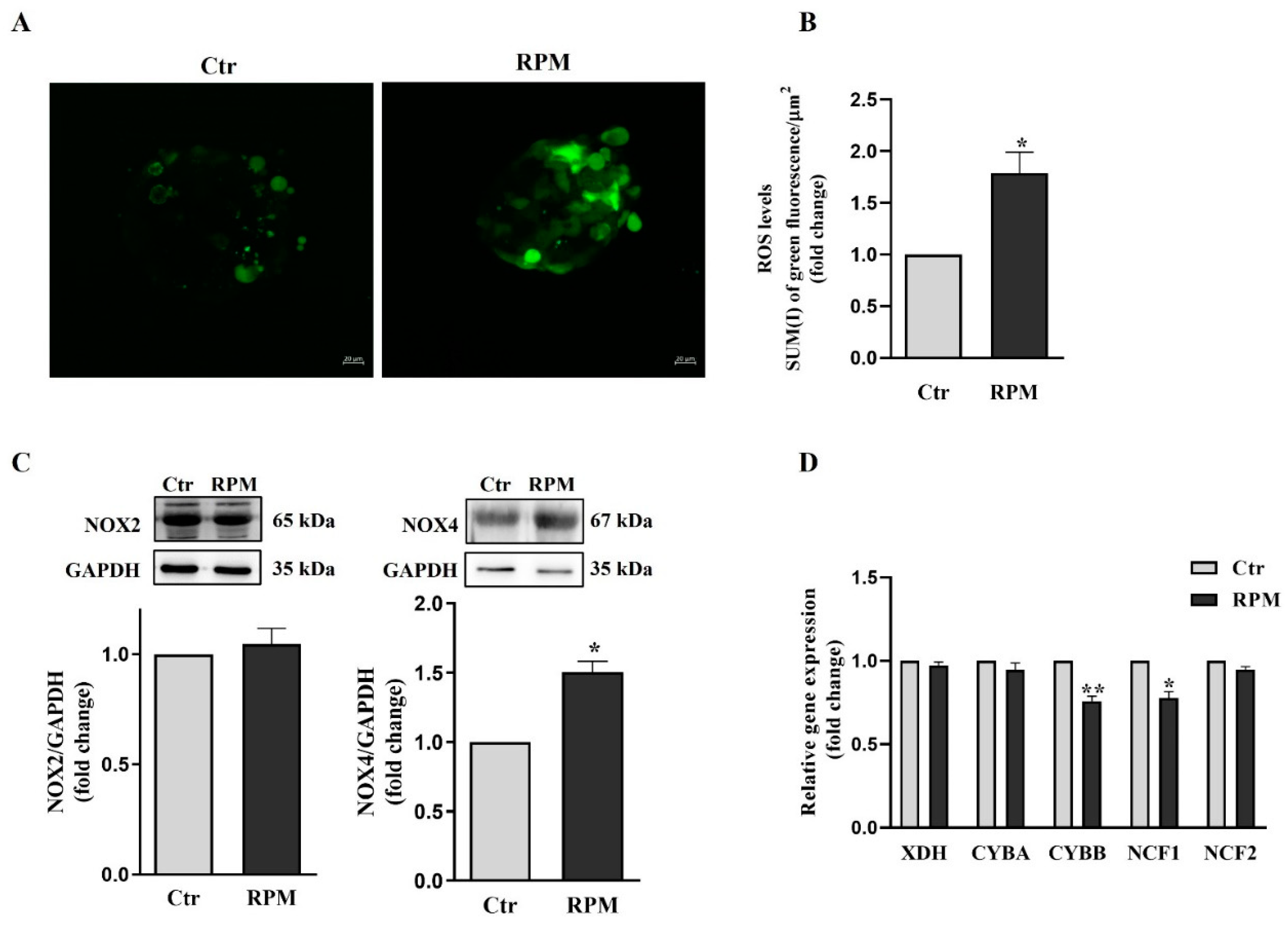 Preprints 79745 g007