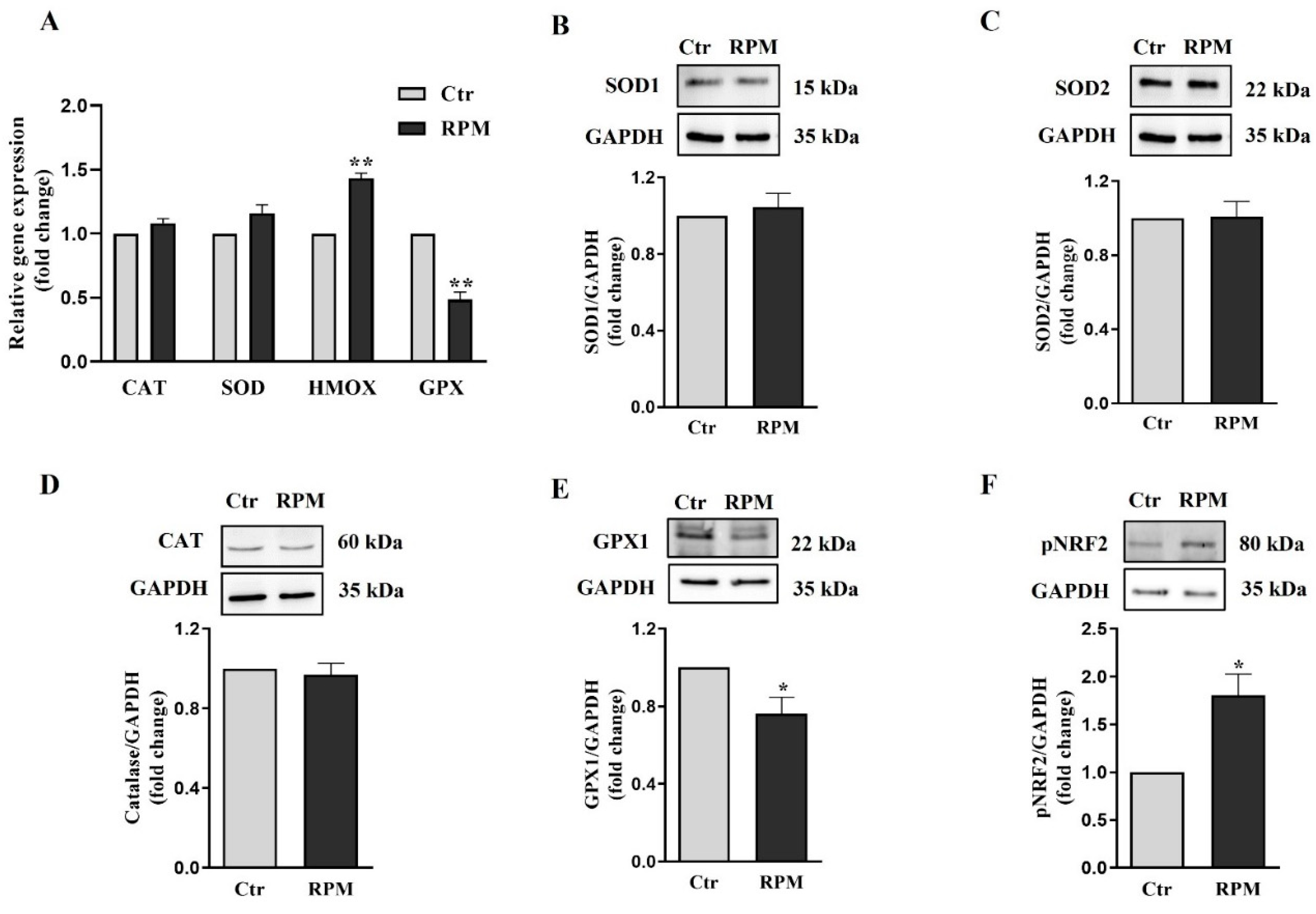 Preprints 79745 g008