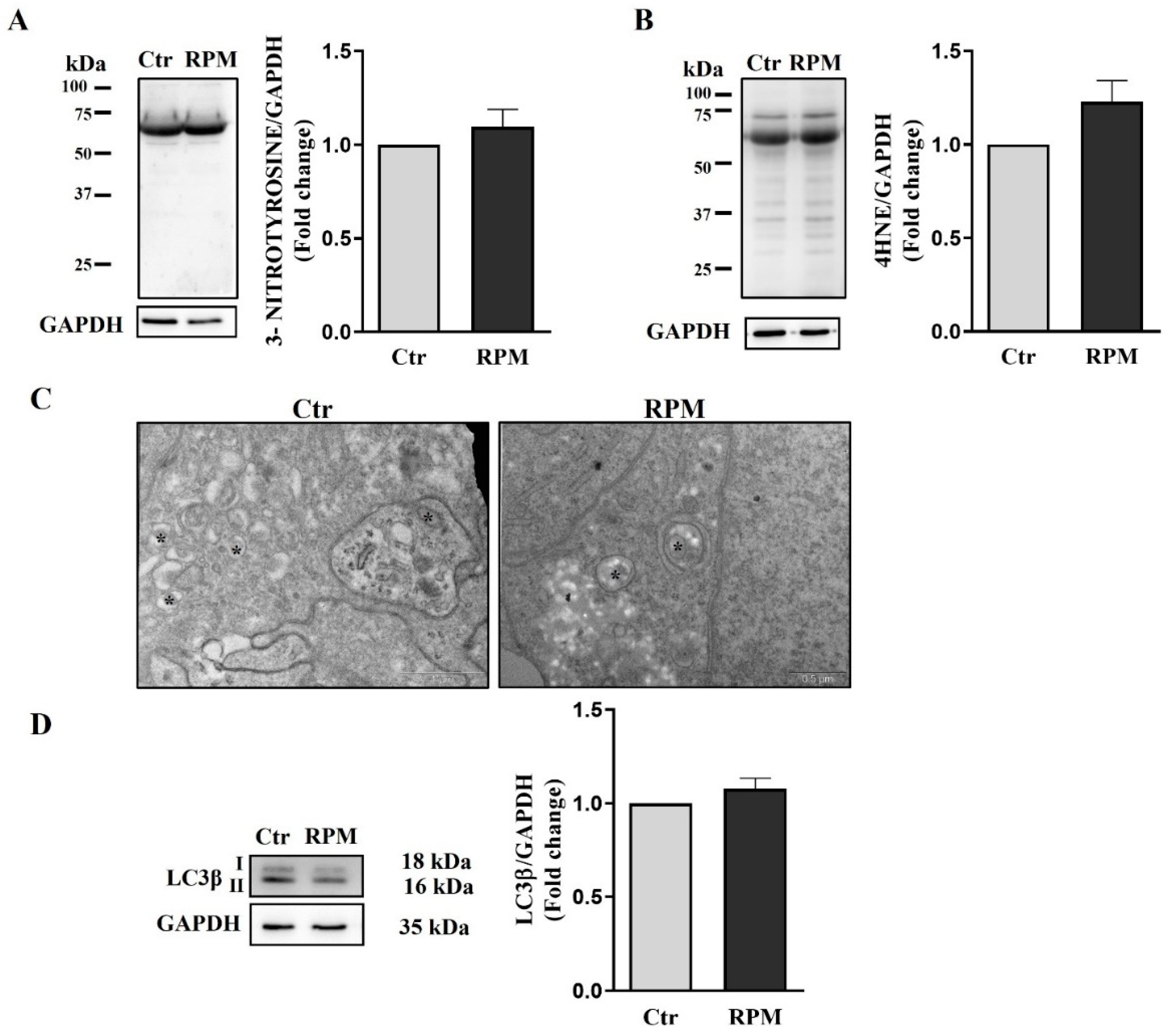 Preprints 79745 g009