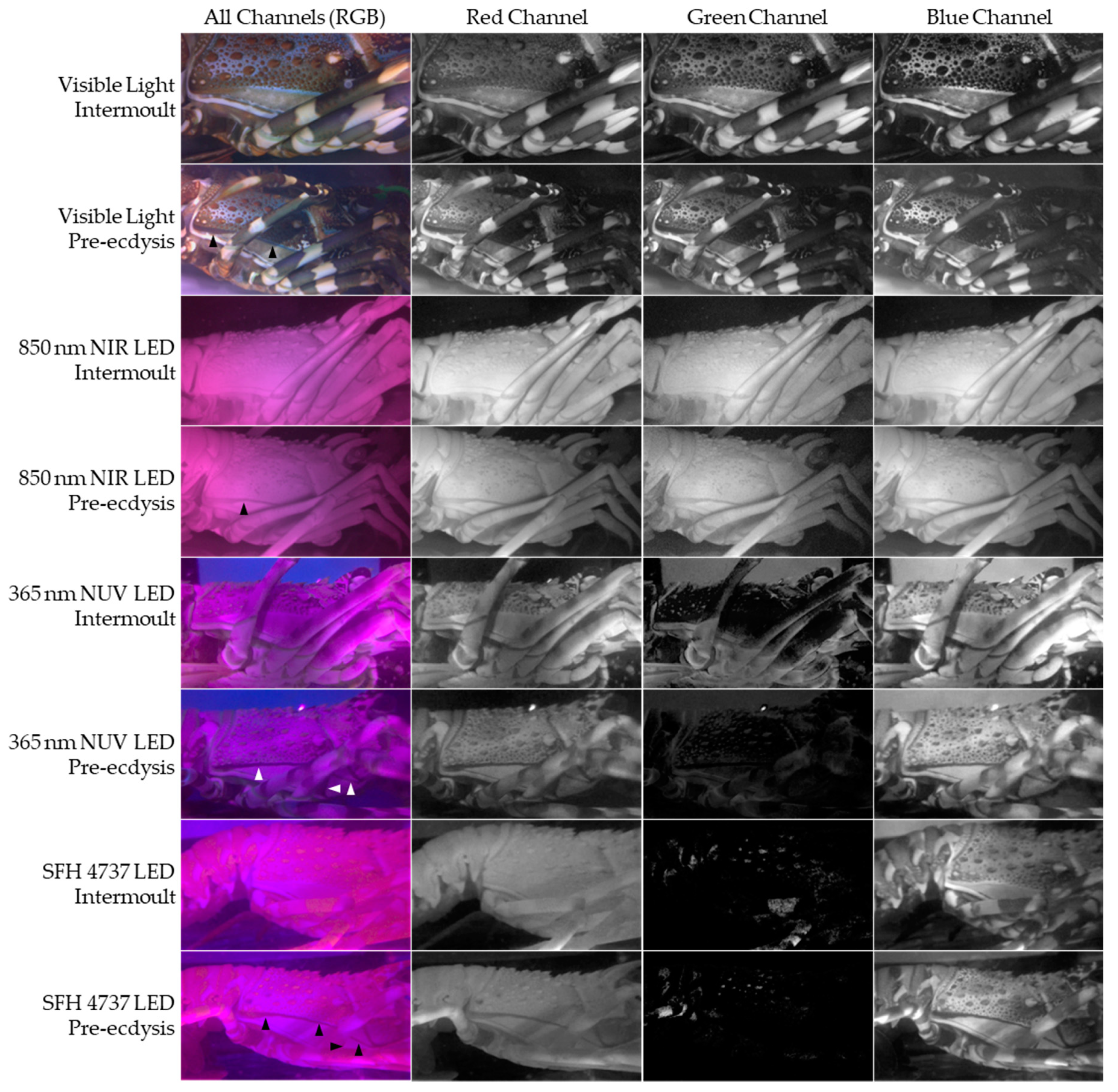 Preprints 103834 g003