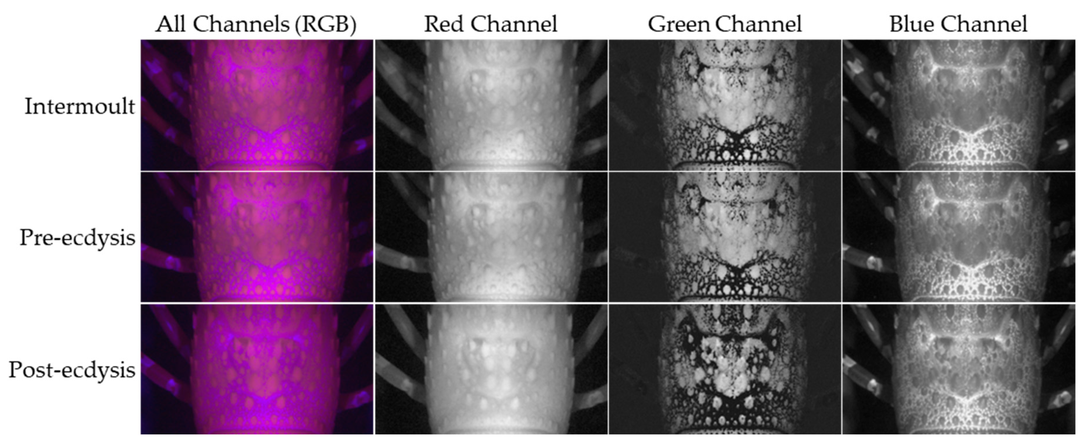 Preprints 103834 g006