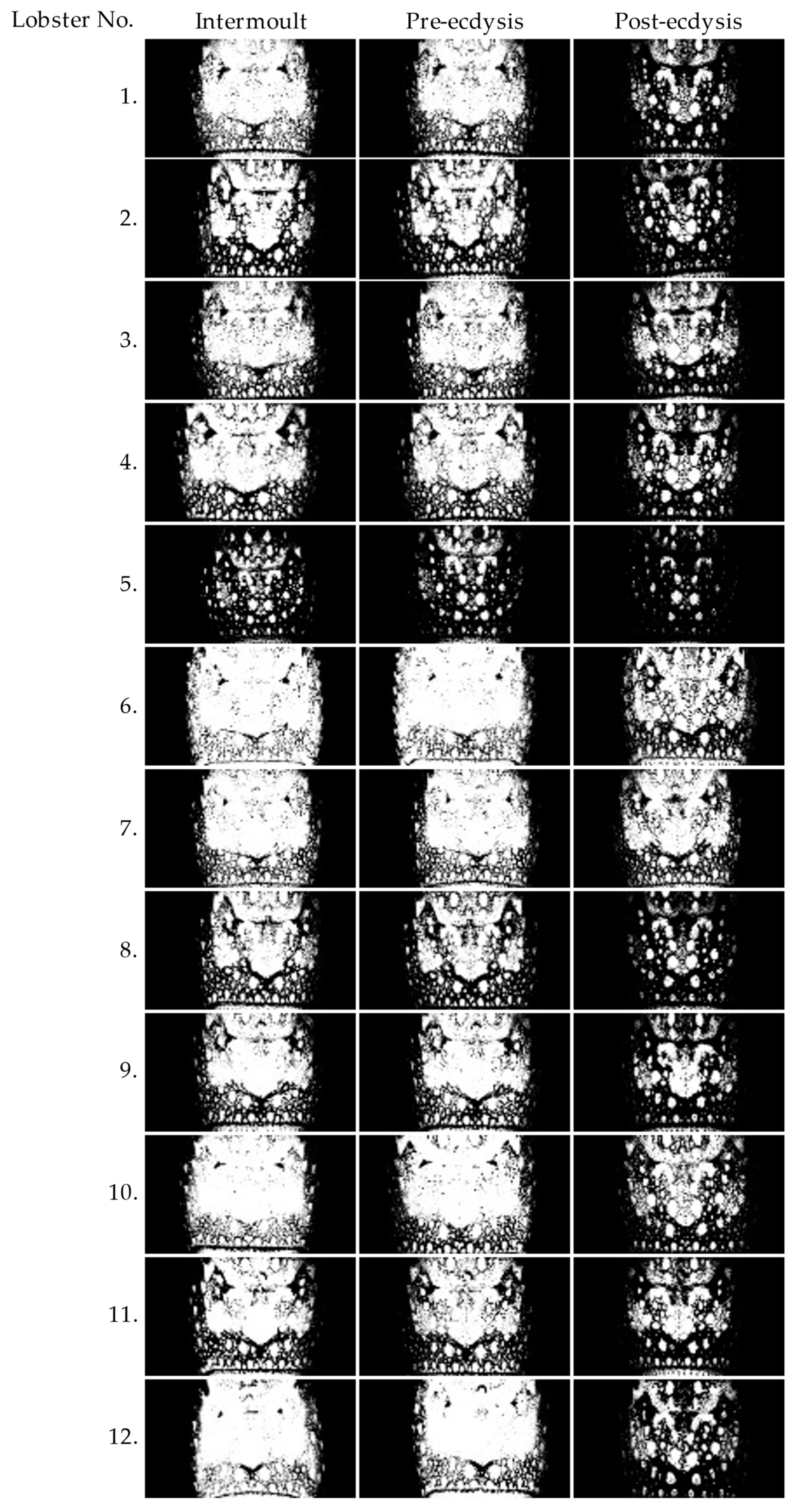 Preprints 103834 g007